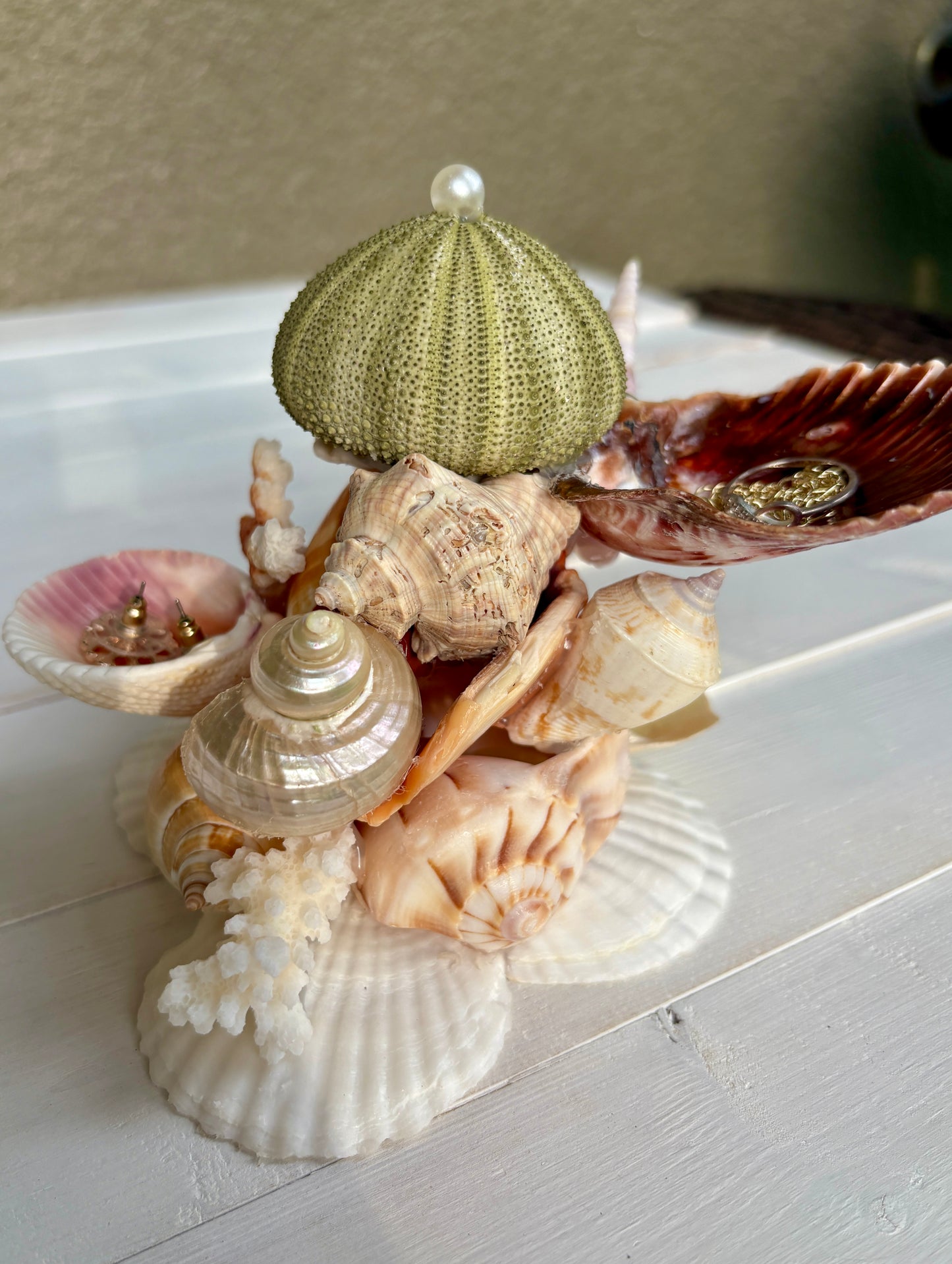 Mini Seashell Jewelry Display