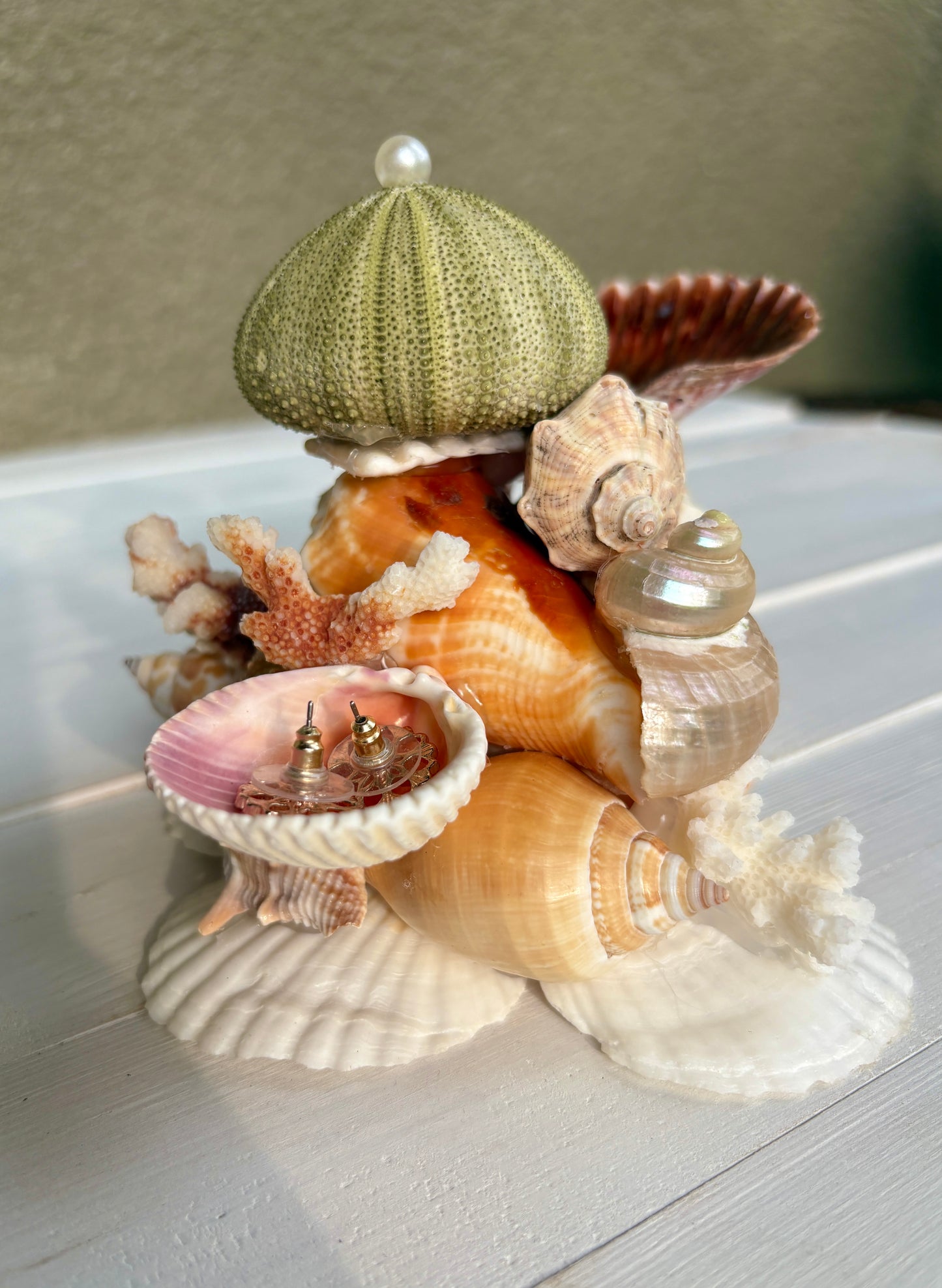Mini Seashell Jewelry Display