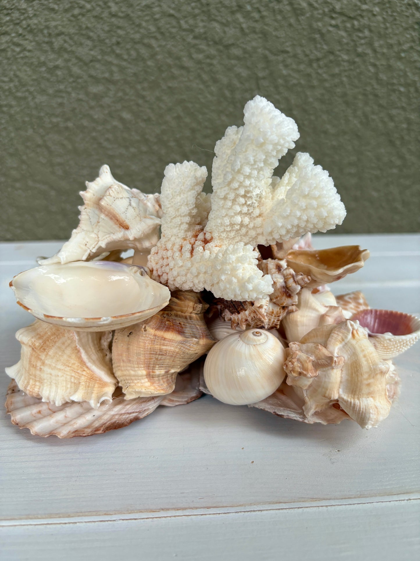 Seashell Jewelry Display, Jewelry Holder