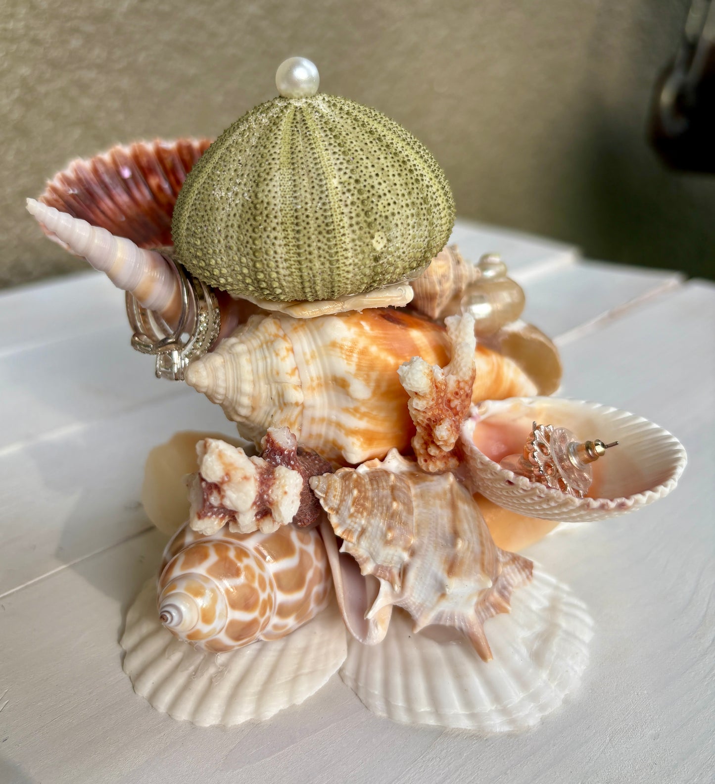 Mini Seashell Jewelry Display