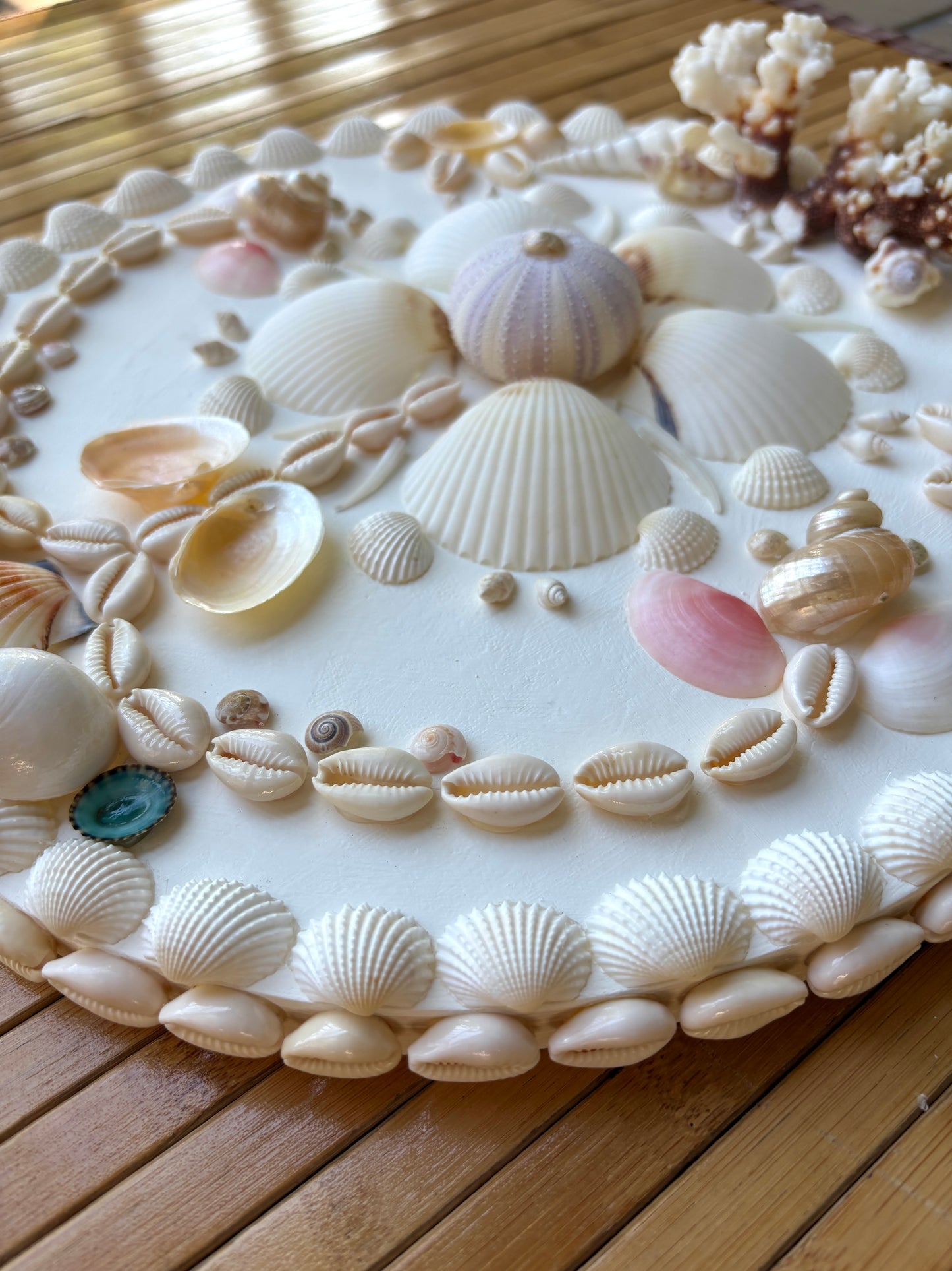 Mini Shell Panel 12.5” - Available Work Ready to Ship