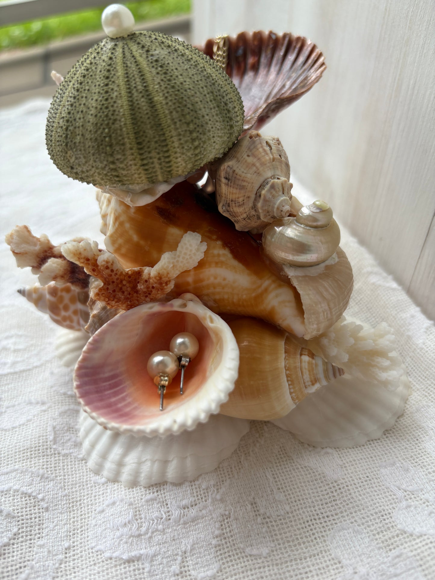 Mini Seashell Jewelry Display