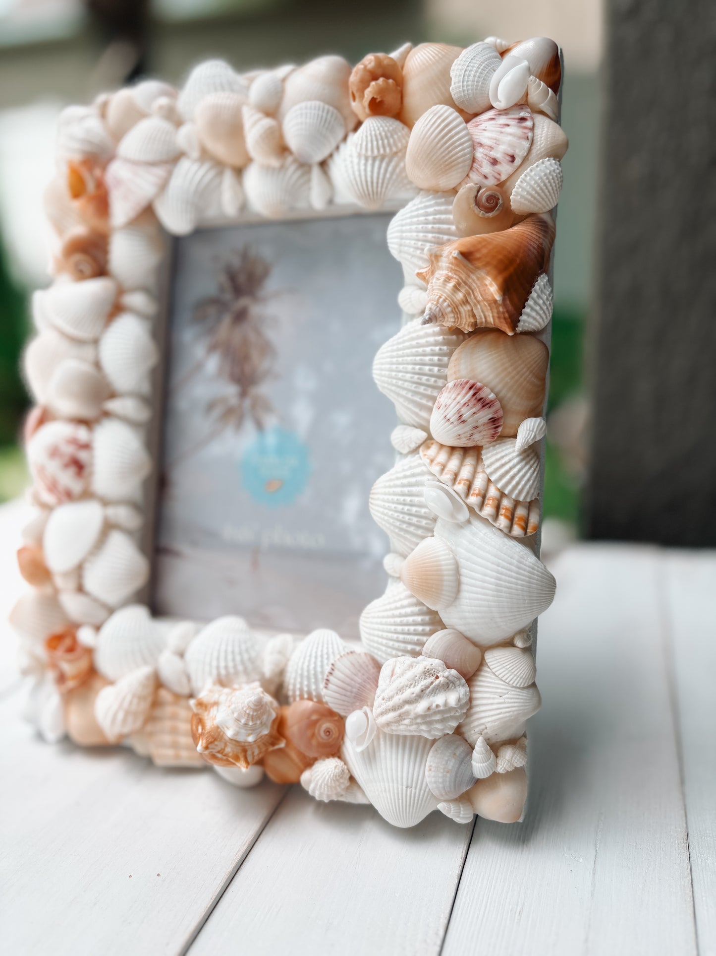 Seashell Picture Frame - Vertical or Horizontal