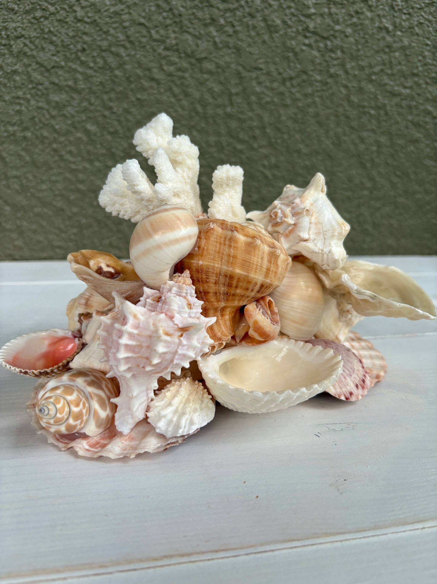 Seashell Jewelry Display, Jewelry Holder