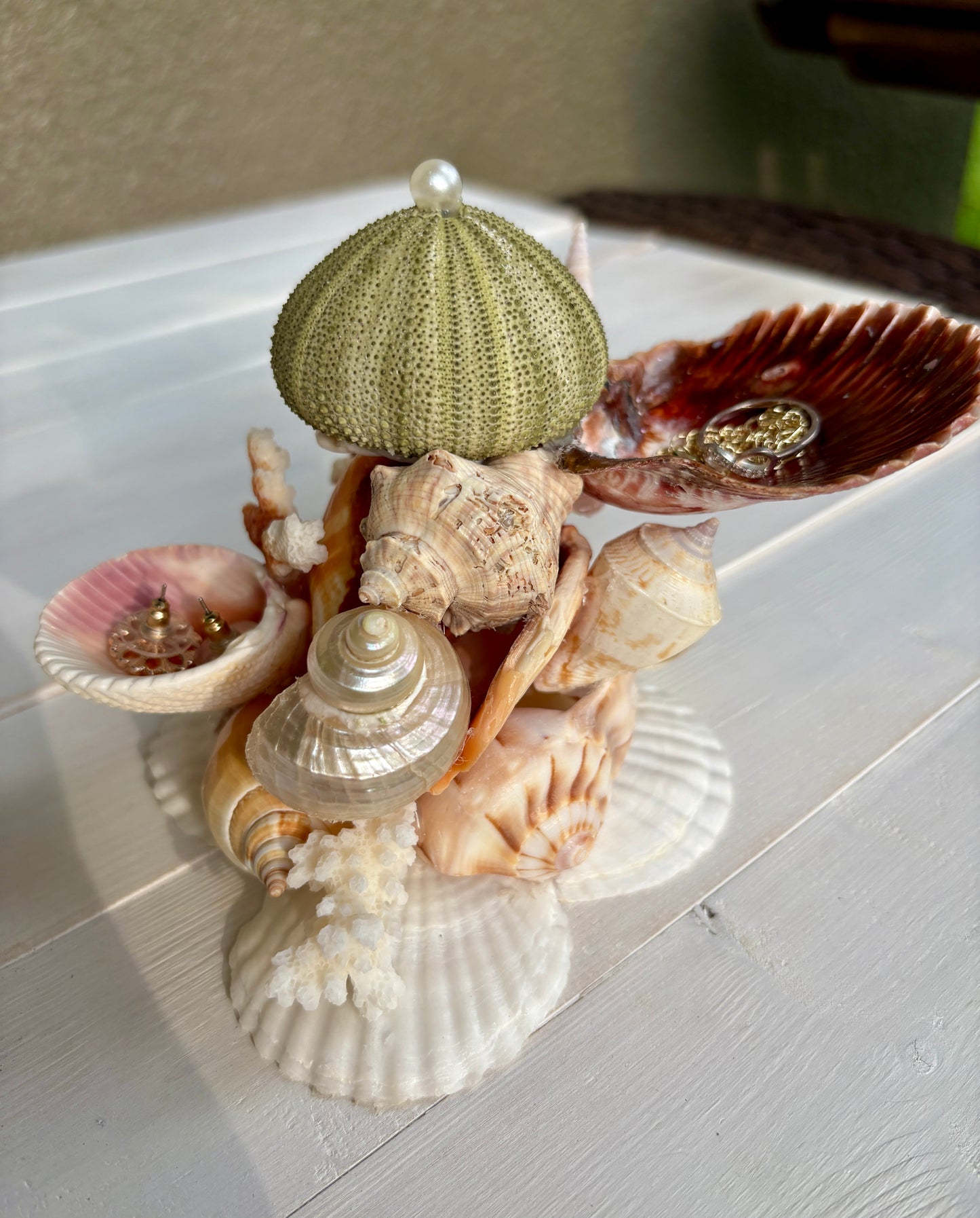Mini Seashell Jewelry Display