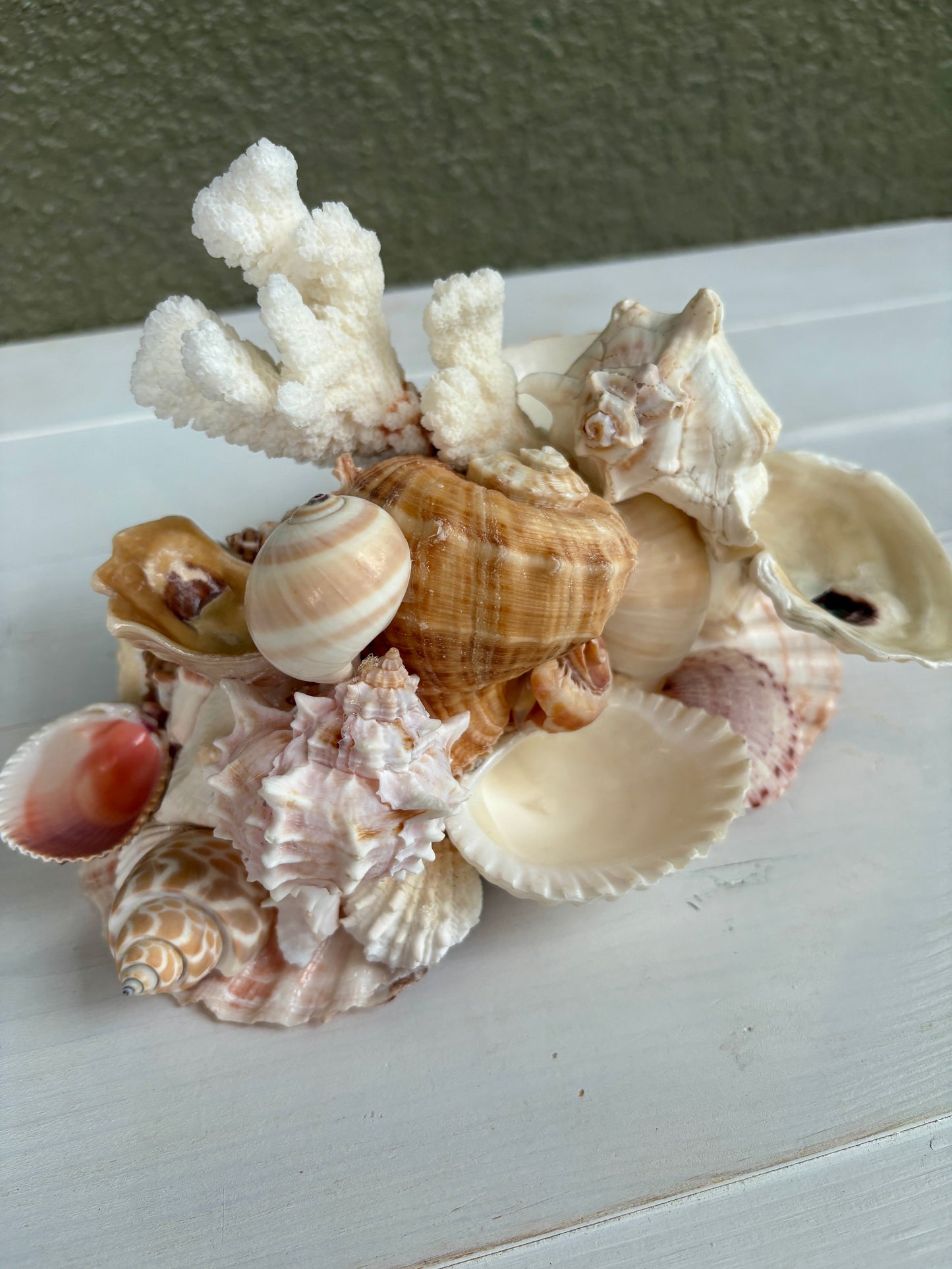 Seashell Jewelry Display, Jewelry Holder