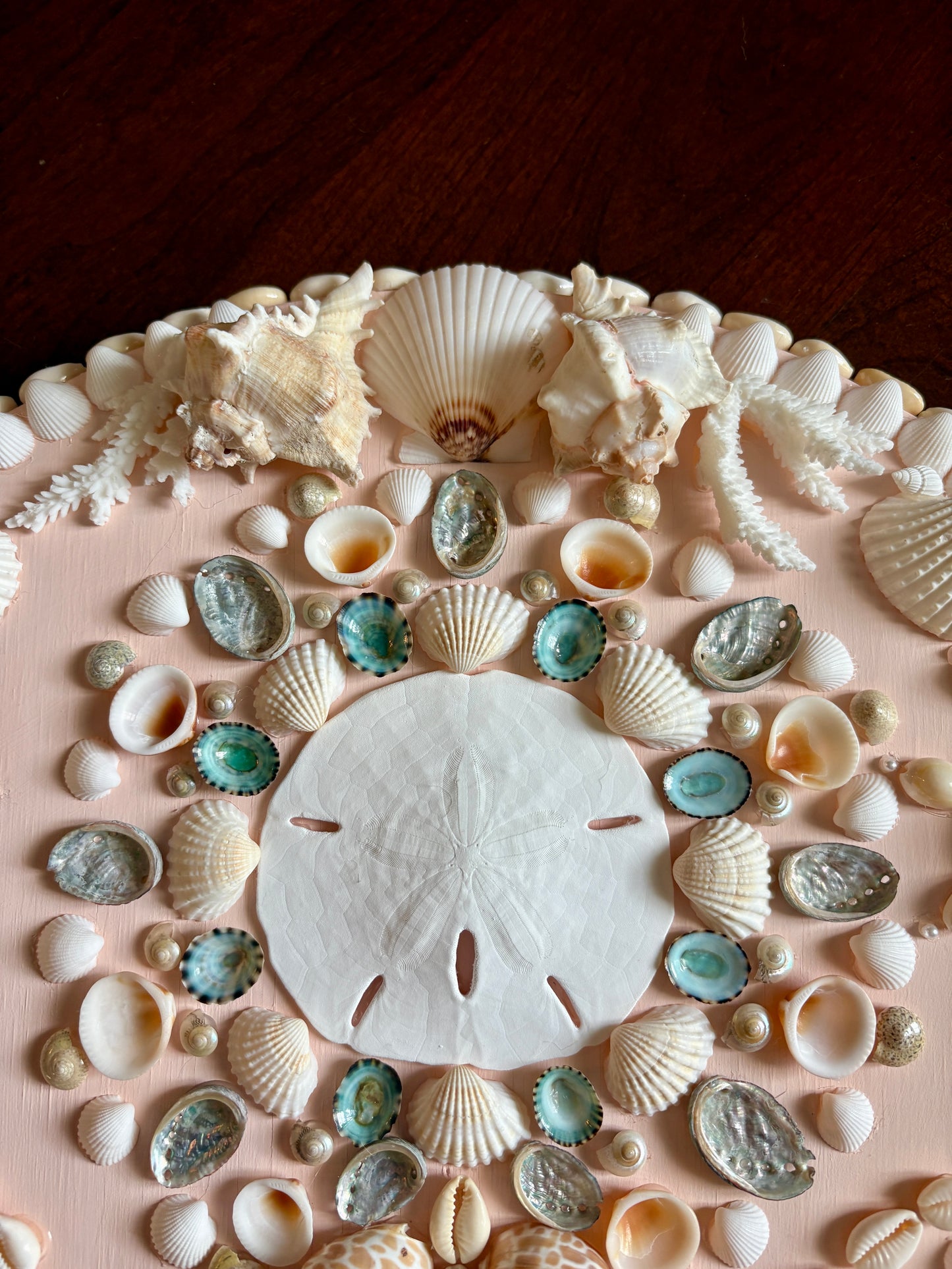 Blush Shell Panel 16.5” (Ready to Ship)