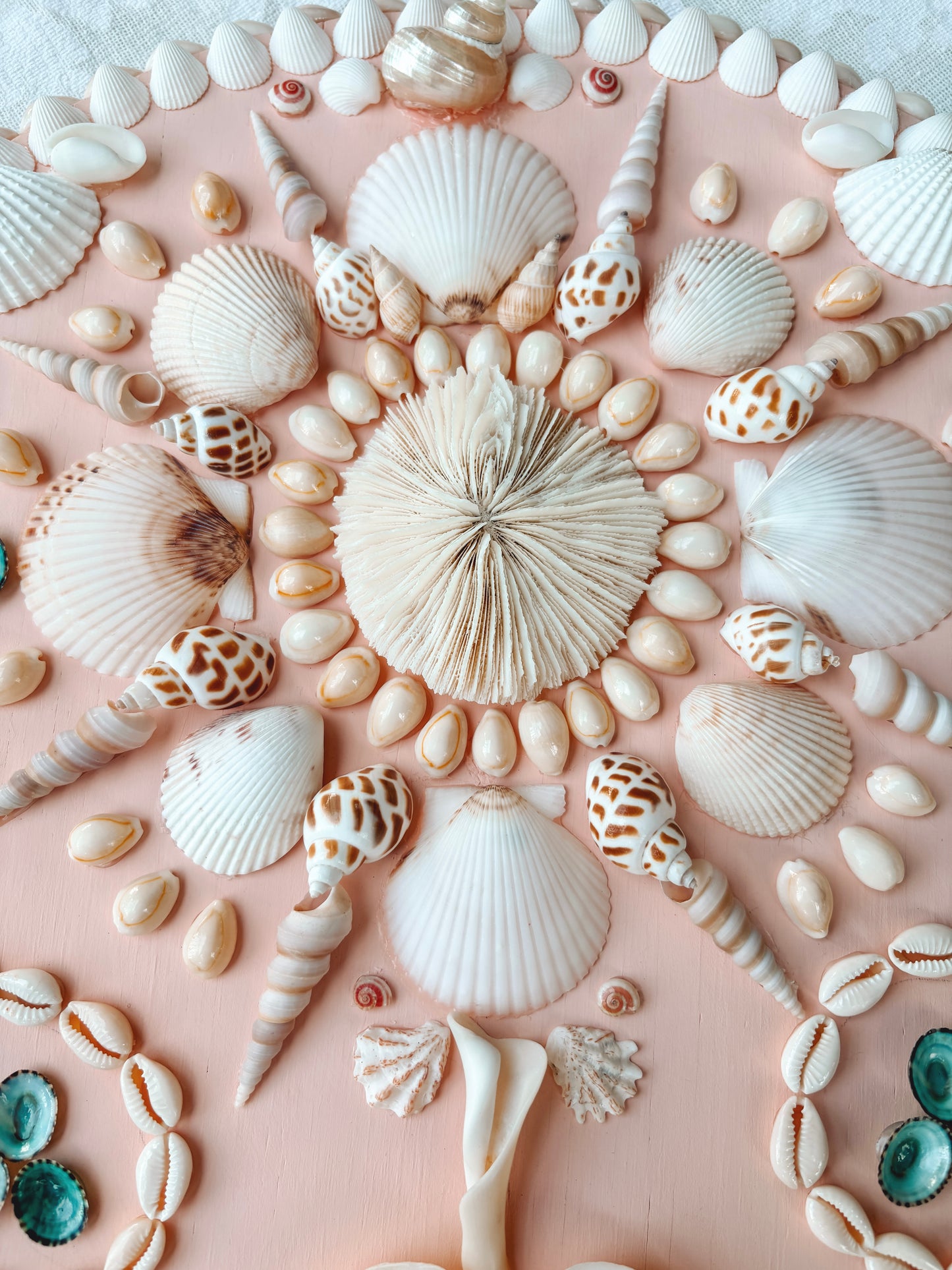 Blush Shell Panel 16.5", Mushroom Coral Center (Made-to-Order)