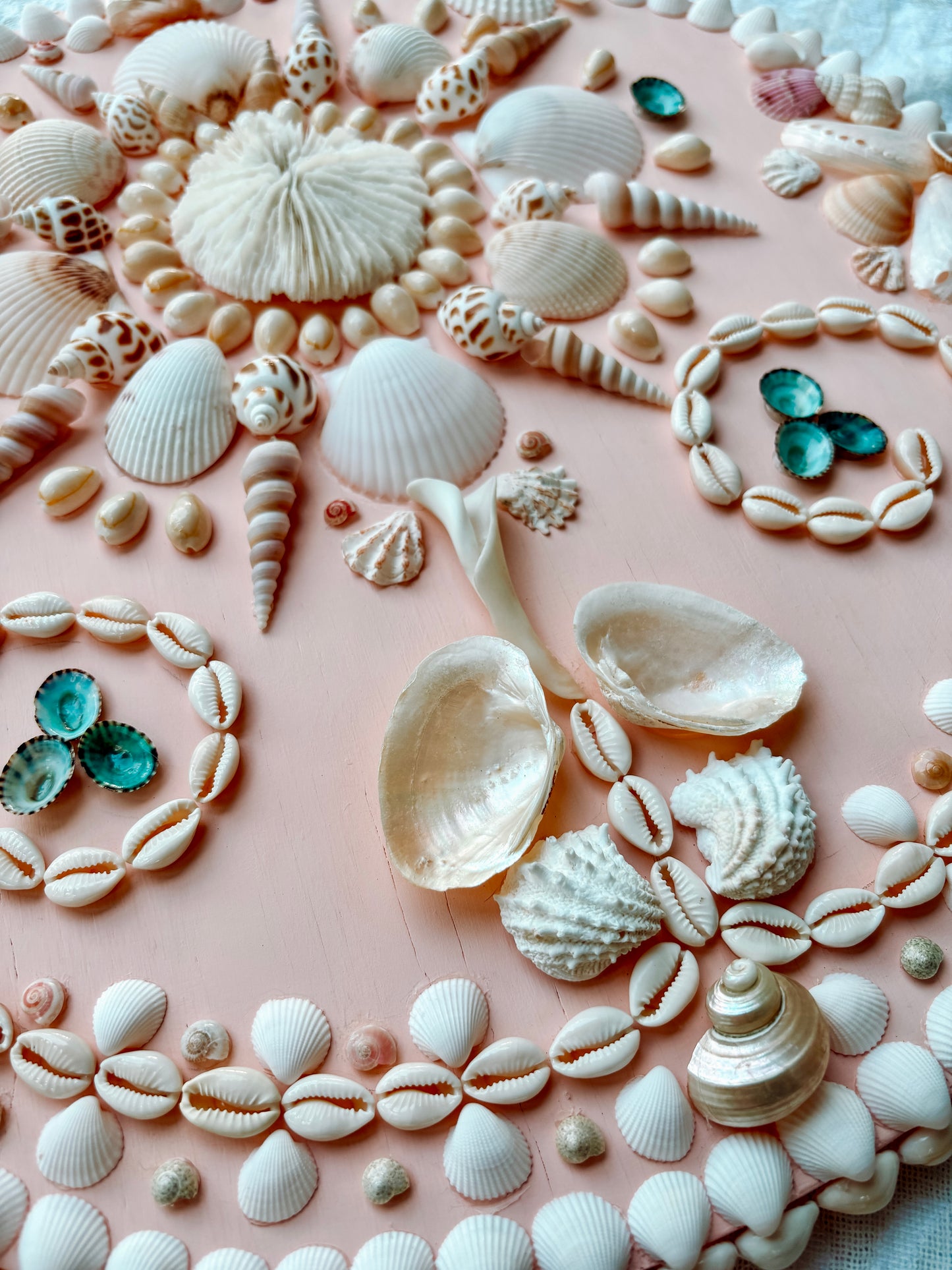 Blush Shell Panel 16.5", Mushroom Coral Center (Made-to-Order)