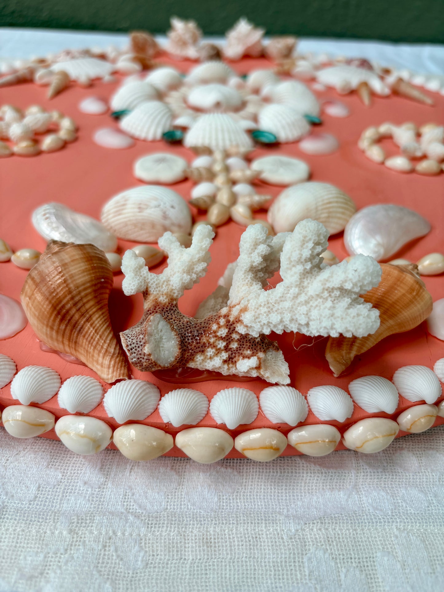 Coral Shell Panel 18.5", (Ready to Ship)