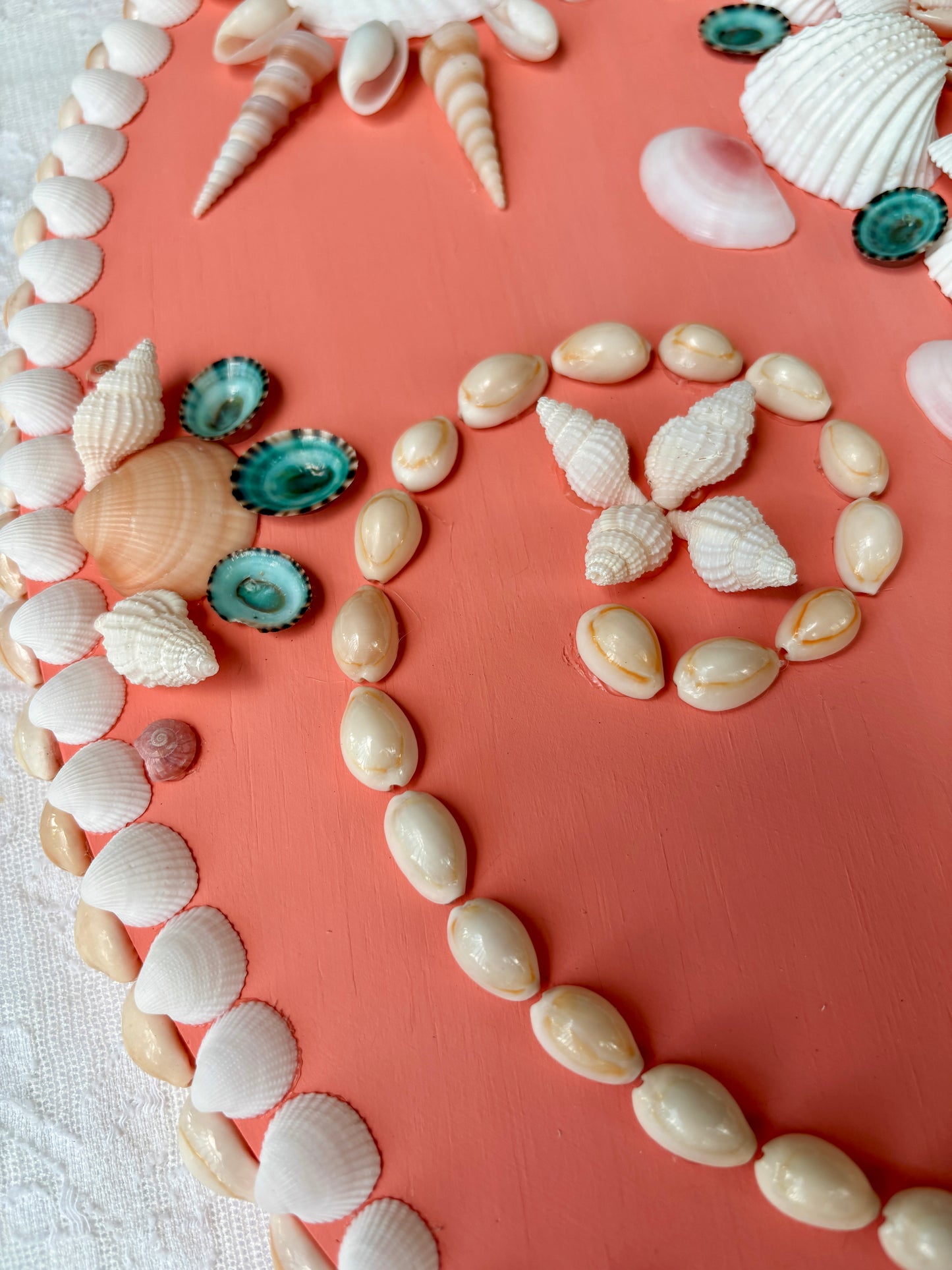 Coral Shell Panel 18.5", (Ready to Ship)
