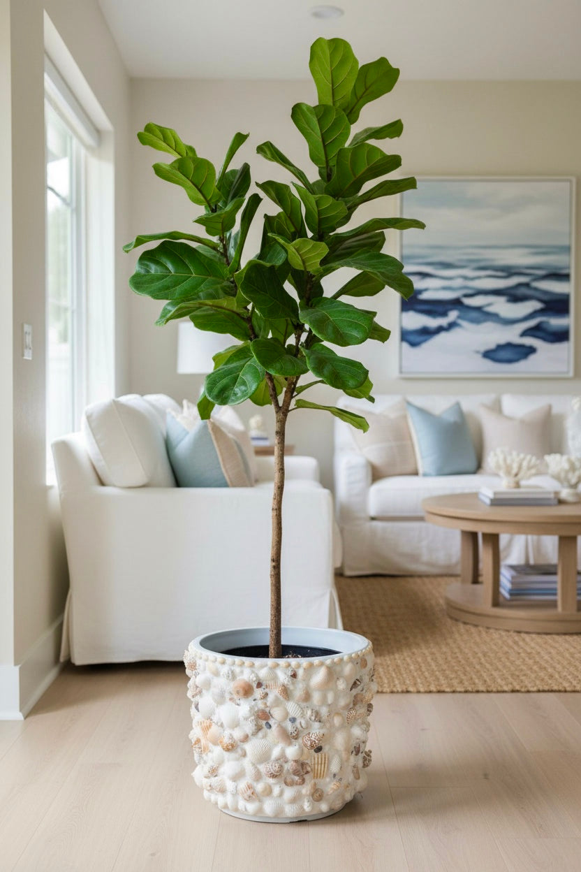 Shell Planters