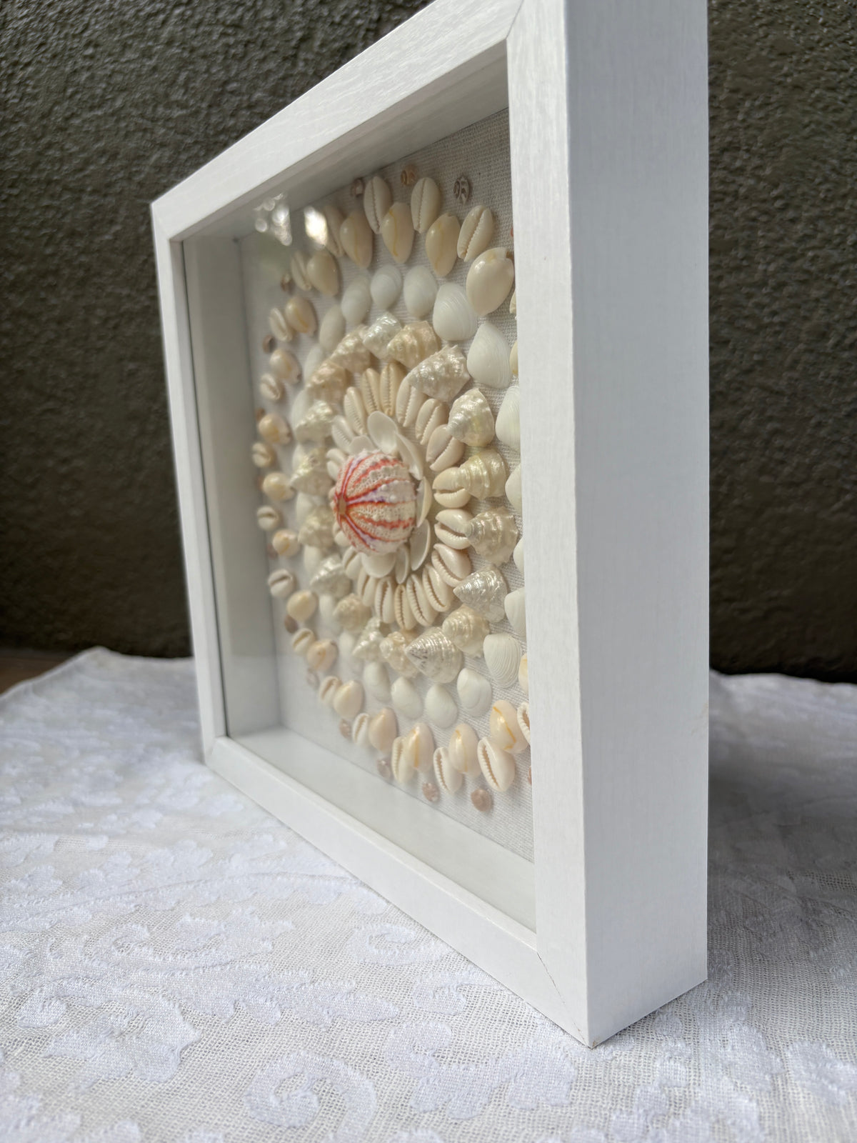 Shell Medallion Collection No. 3 | Framed Shell Art