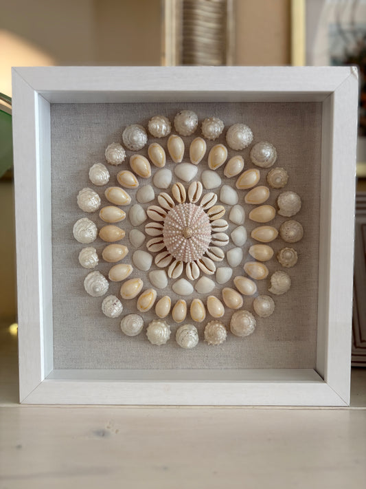 Shell Medallion Collection No. 4 | Framed Shell Art