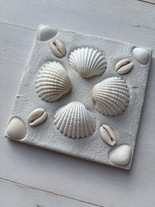 Decorative Shell Tile, Coastal Accent Tile, Luxury Tile - 4x4”, 6x6”, 13x13”