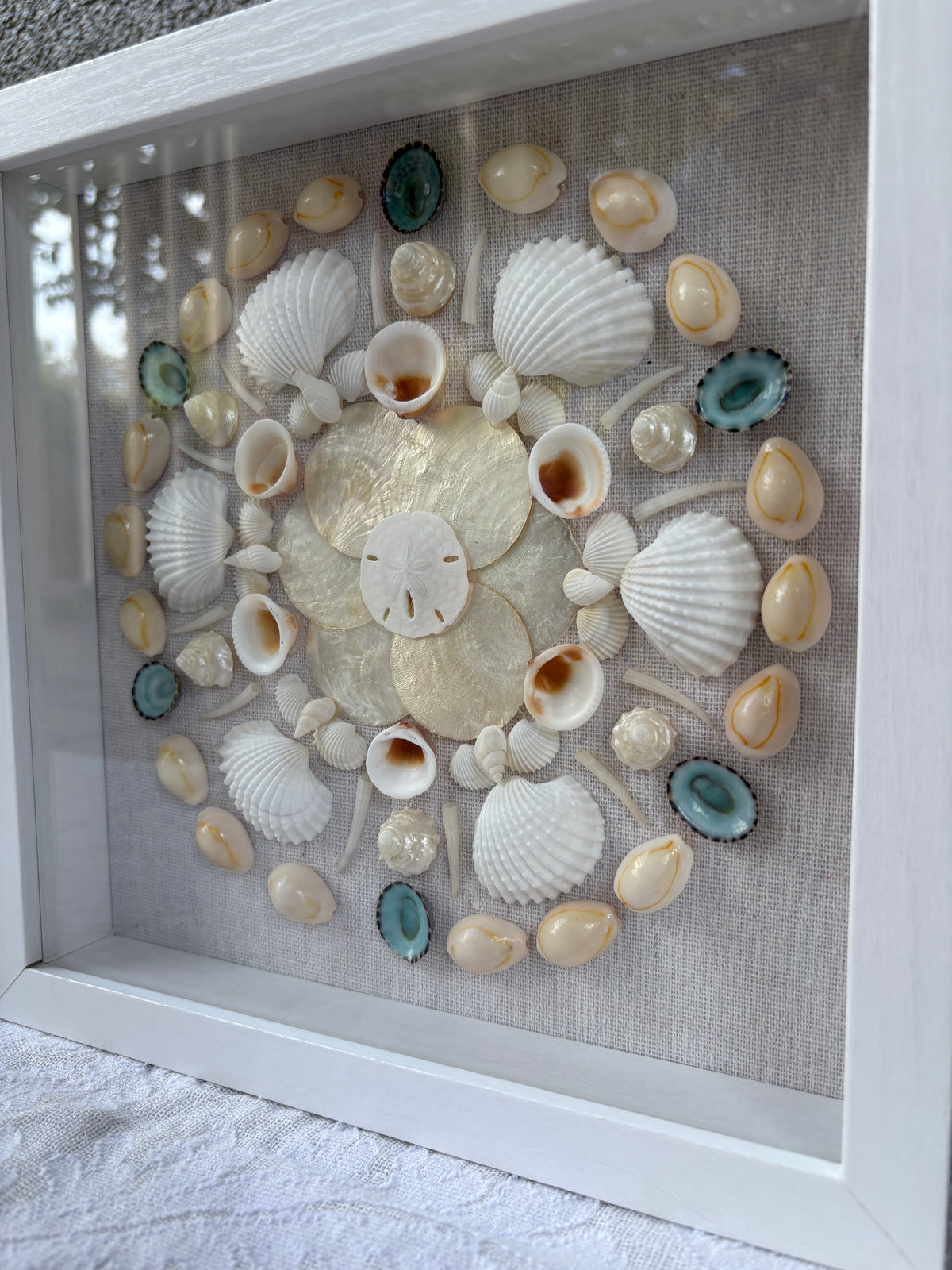 Shell Medallion Collection - No. 1 | Framed Shell Art
