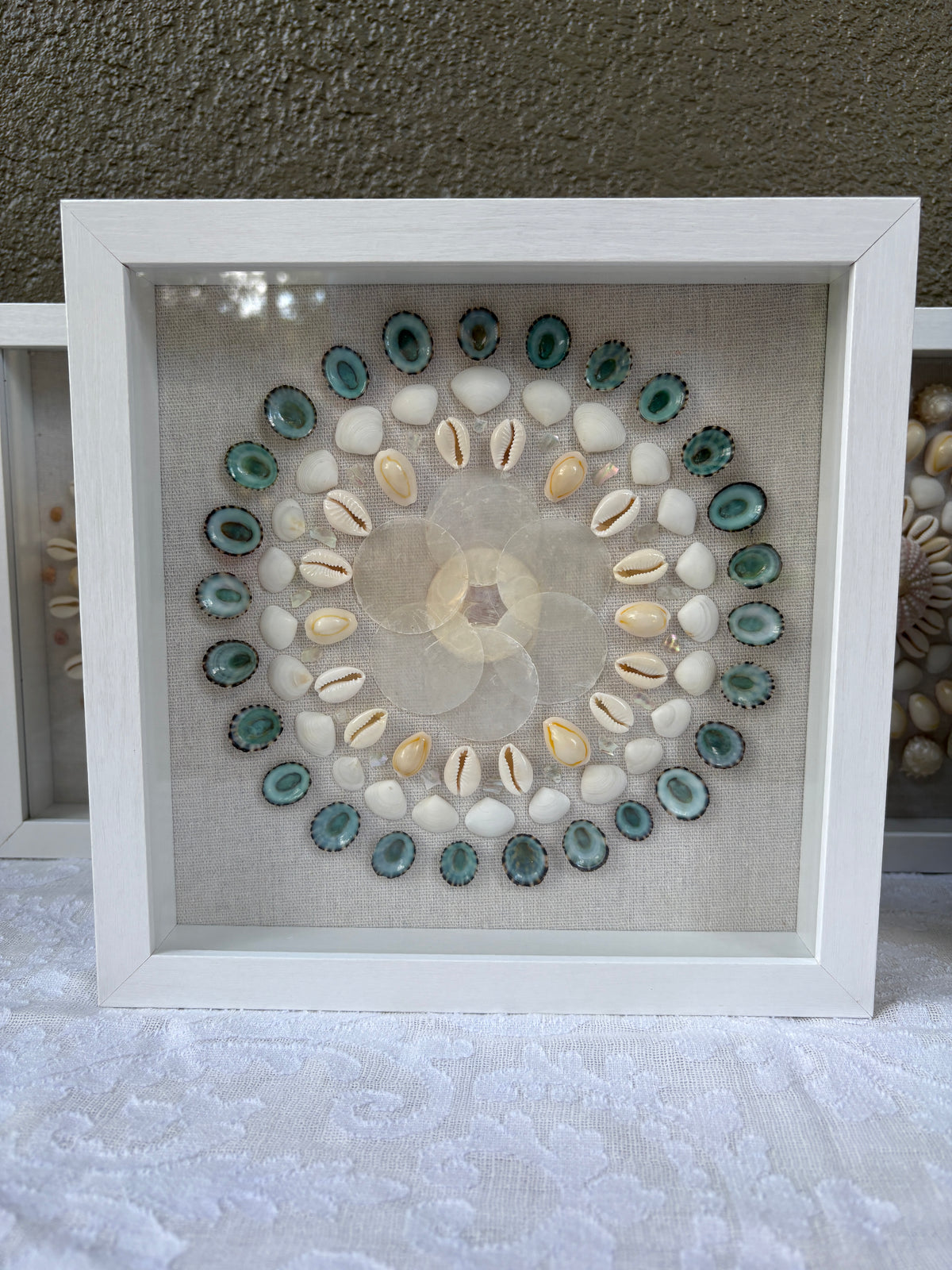 Shell Medallion Collection - No. 2 | Framed Shell Art