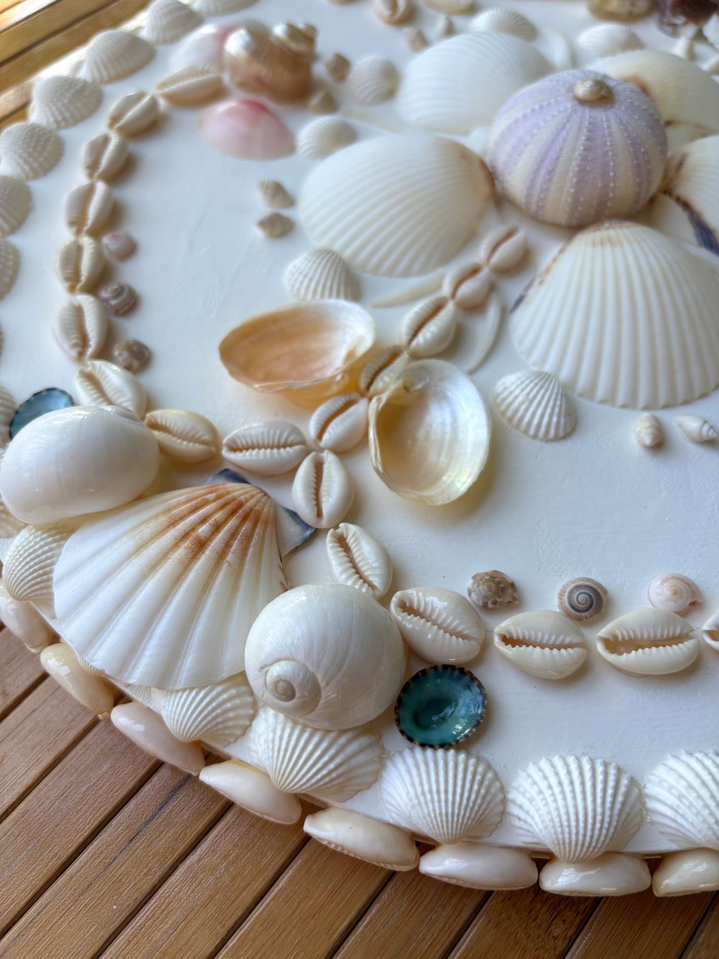 Mini Shell Panel 12.5” - Available Work Ready to Ship