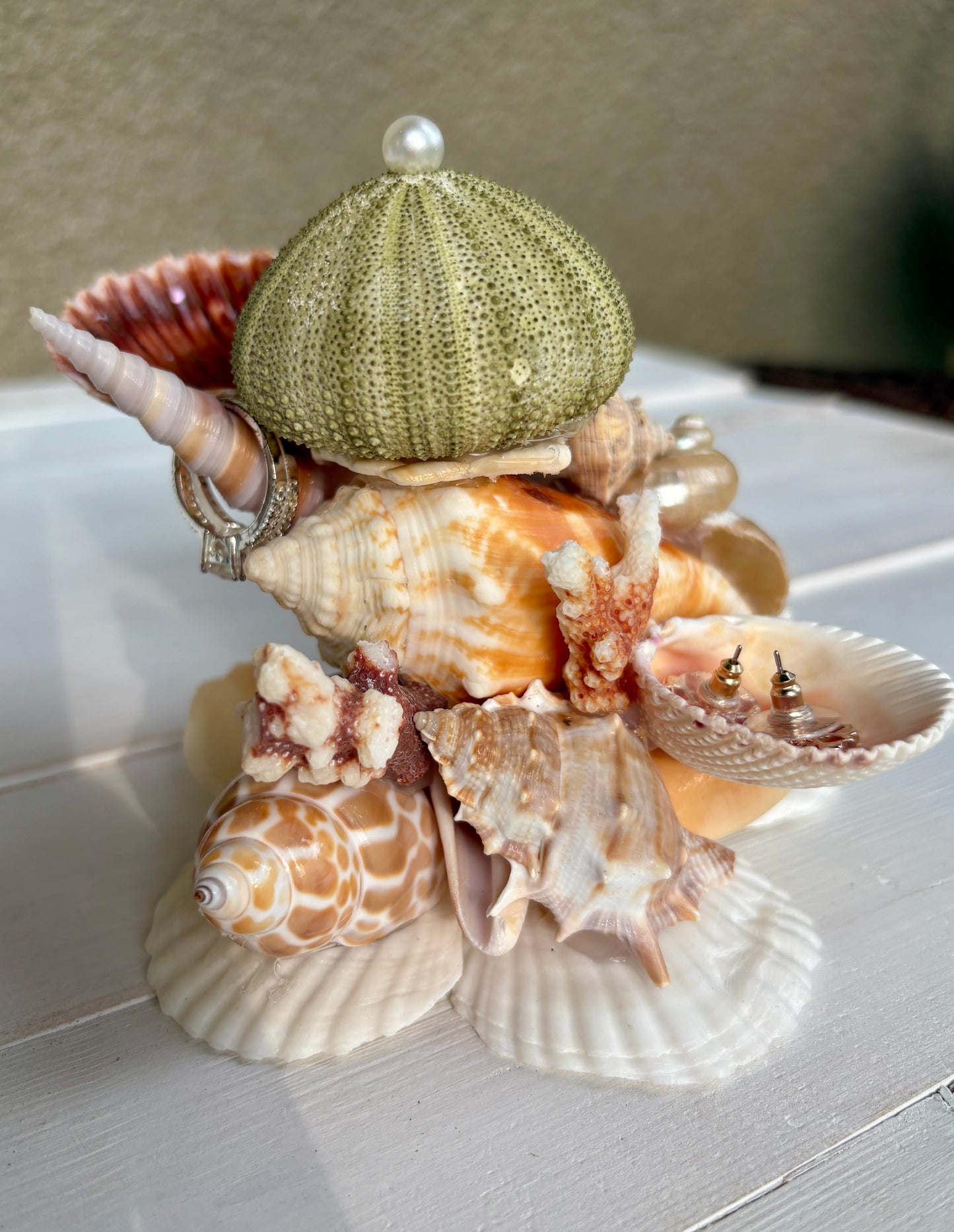 Mini Seashell Jewelry Display