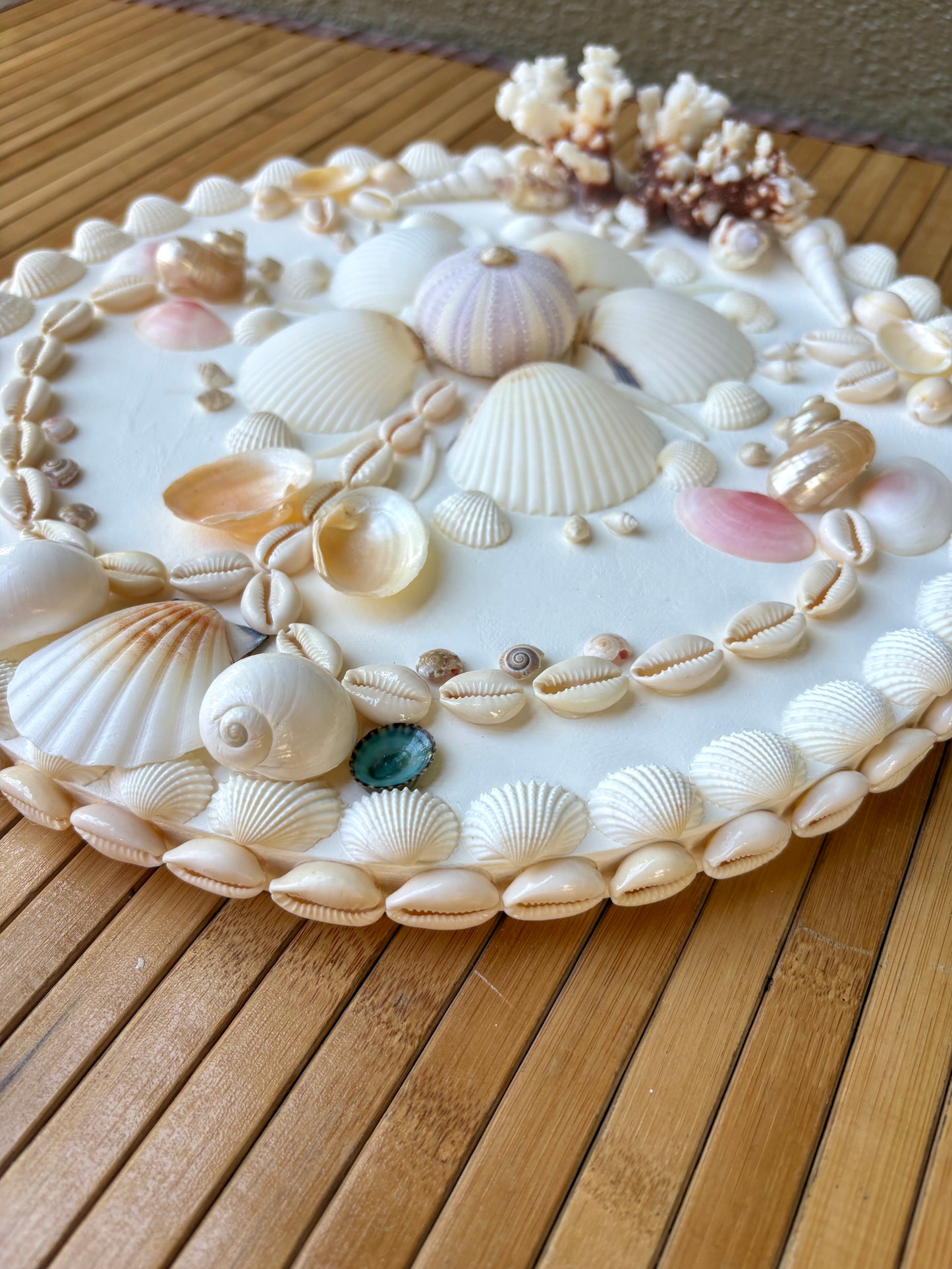 Mini Shell Panel 12.5” - Available Work Ready to Ship