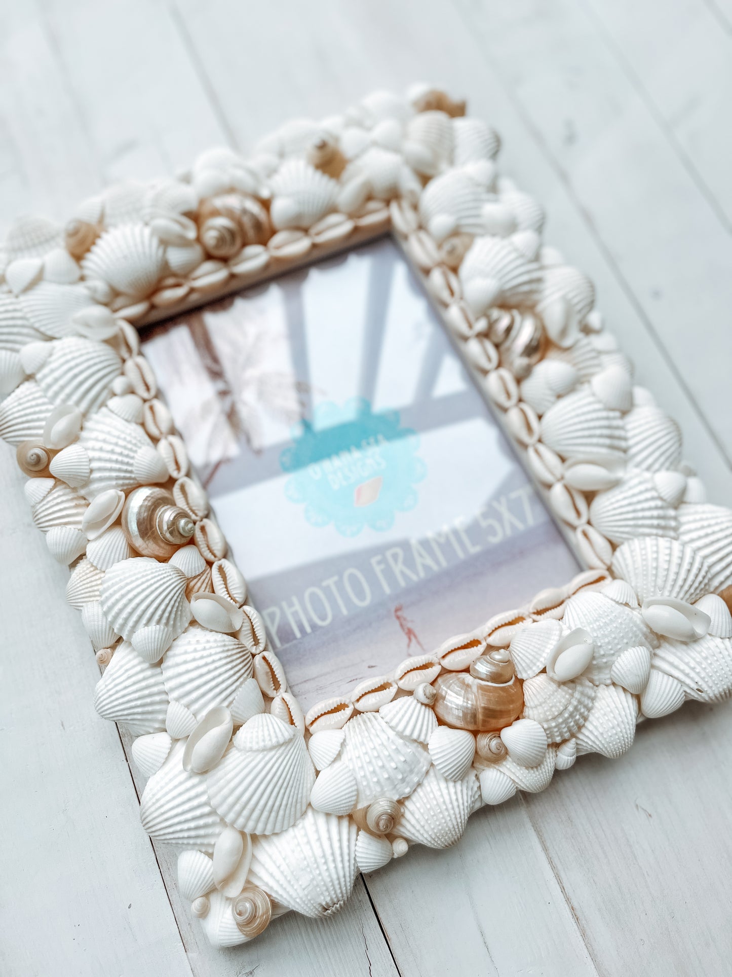 White Seashell Picture Frame with Pearlized Turbos, 4x6, 5x7, 8x10