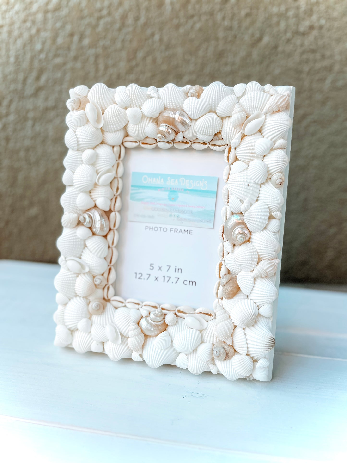 White Seashell Picture Frame with Pearlized Turbos, 4x6, 5x7, 8x10