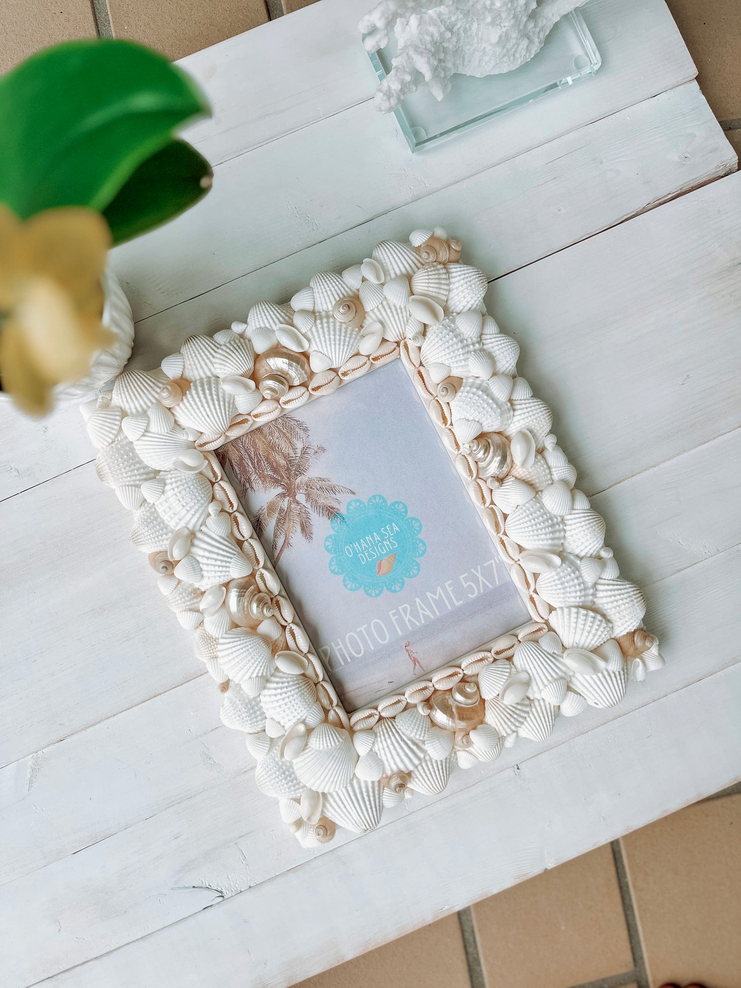 White Seashell Picture Frame with Pearlized Turbos, 4x6, 5x7, 8x10