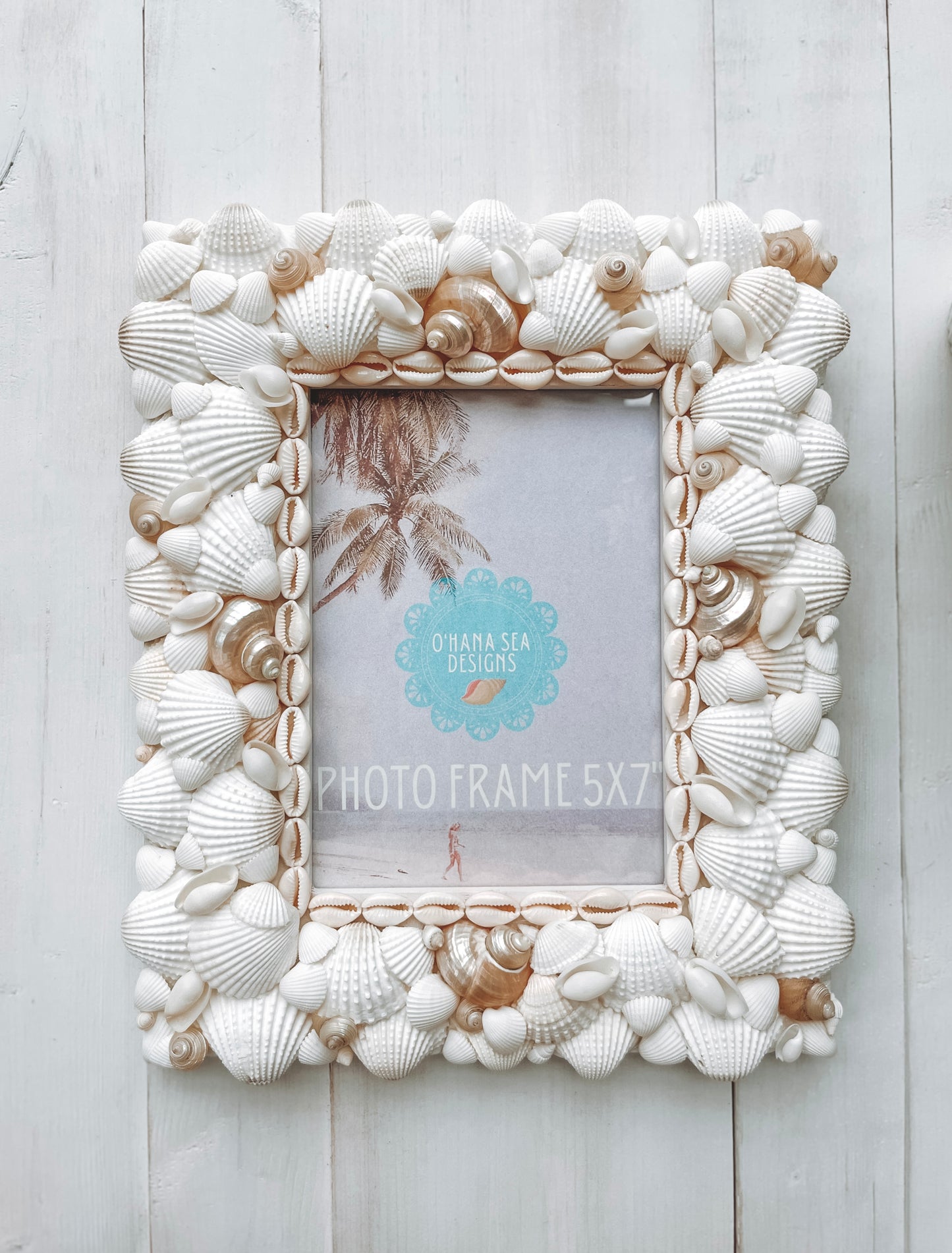 White Seashell Picture Frame with Pearlized Turbos, 4x6, 5x7, 8x10