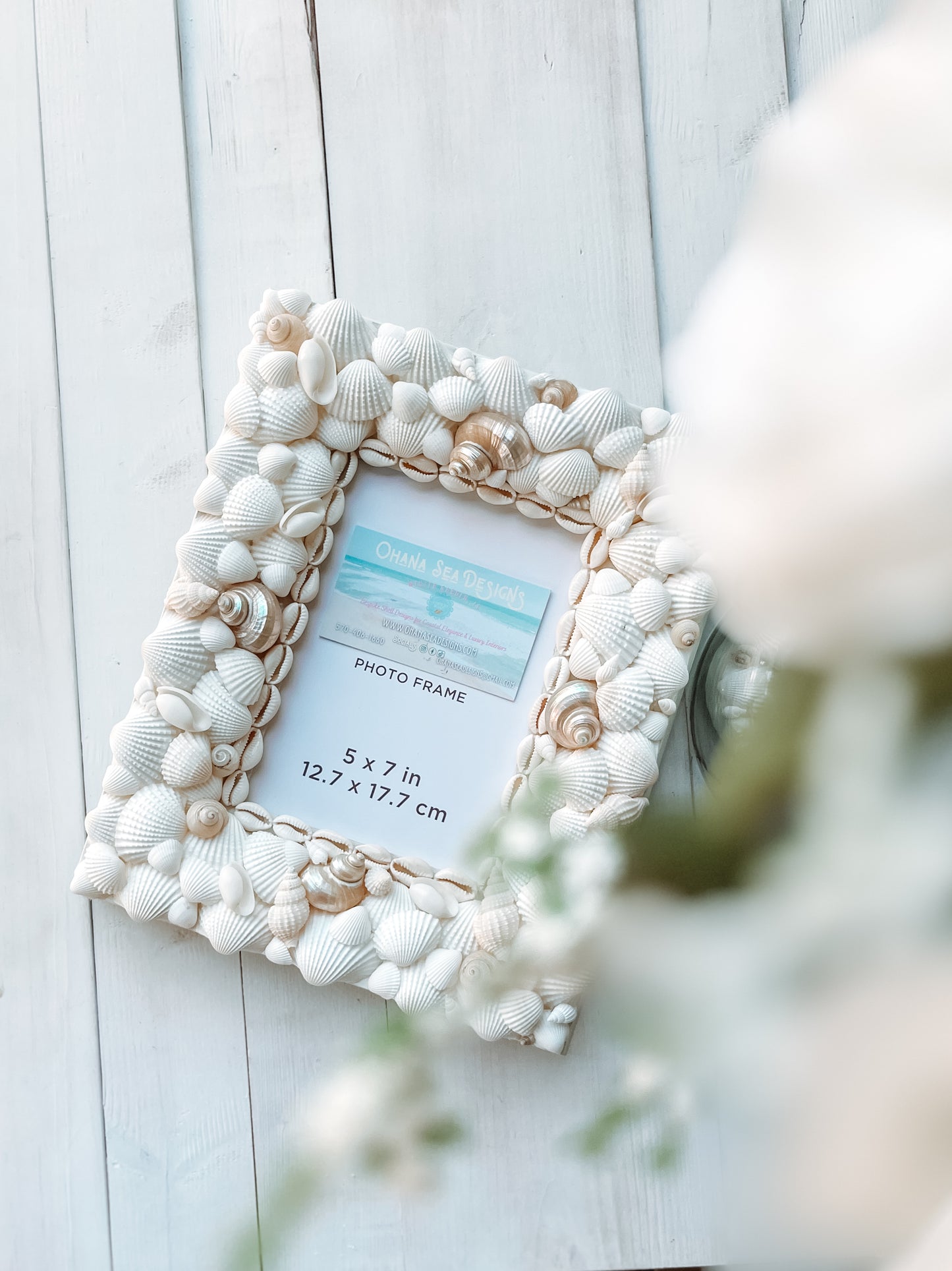 White Seashell Picture Frame with Pearlized Turbos, 4x6, 5x7, 8x10