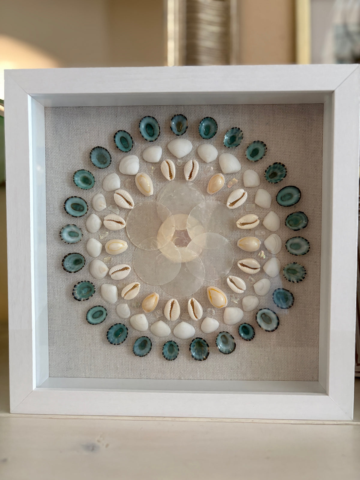 Shell Medallion Collection - No. 2 | Framed Shell Art