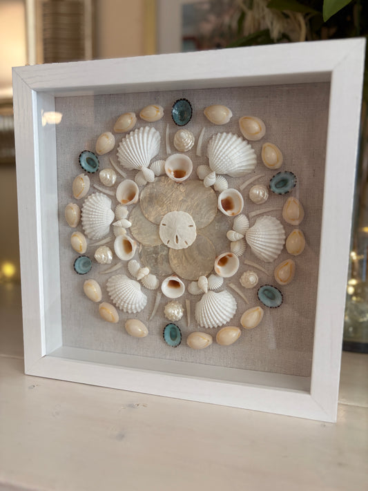 Shell Medallion Collection - No. 1 | Framed Shell Art