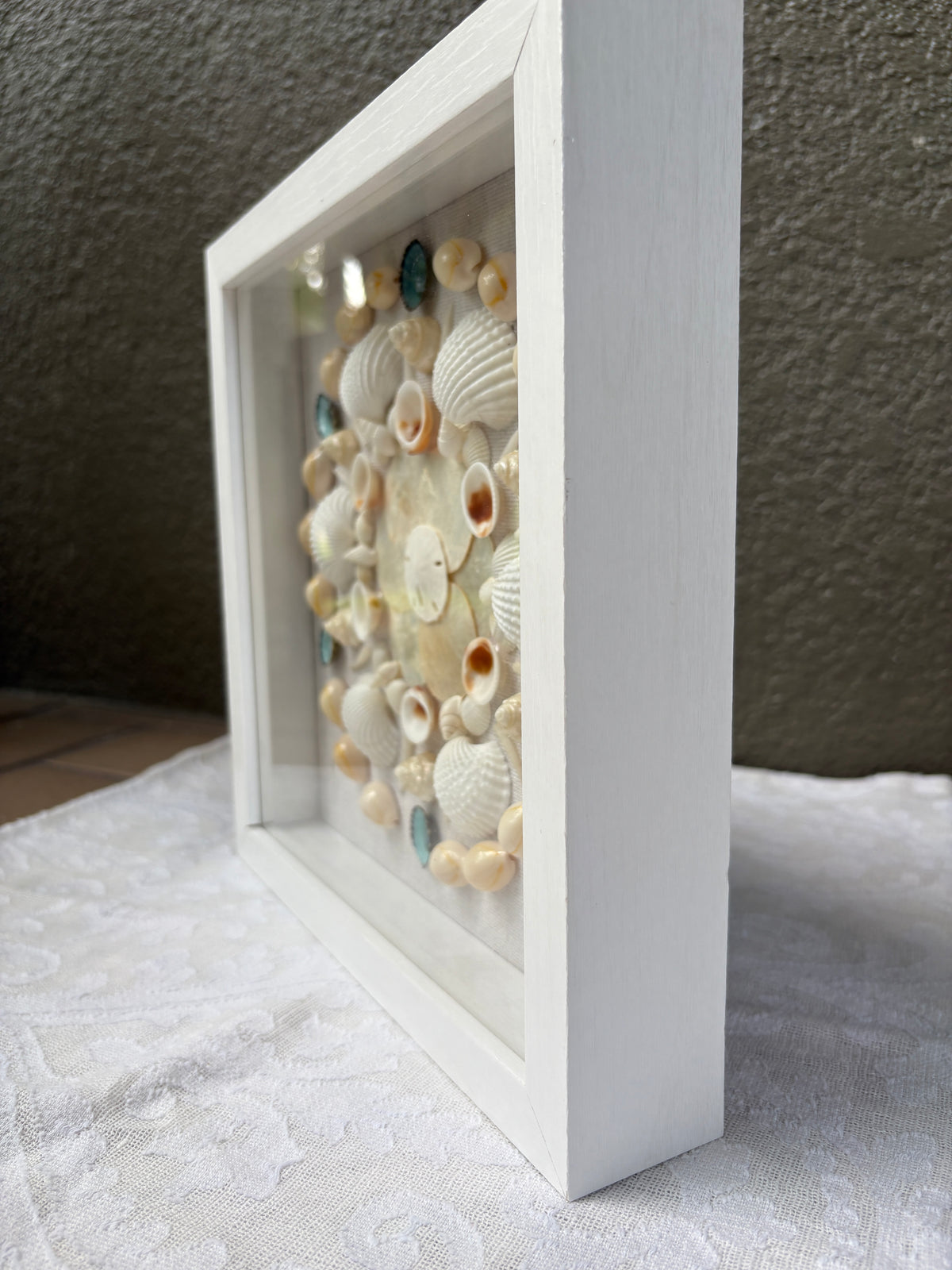 Shell Medallion Collection - No. 1 | Framed Shell Art