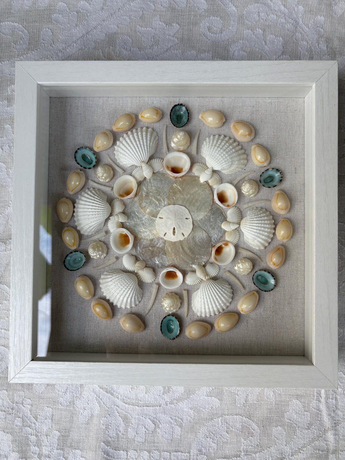 Shell Medallion Collection - No. 1 | Framed Shell Art