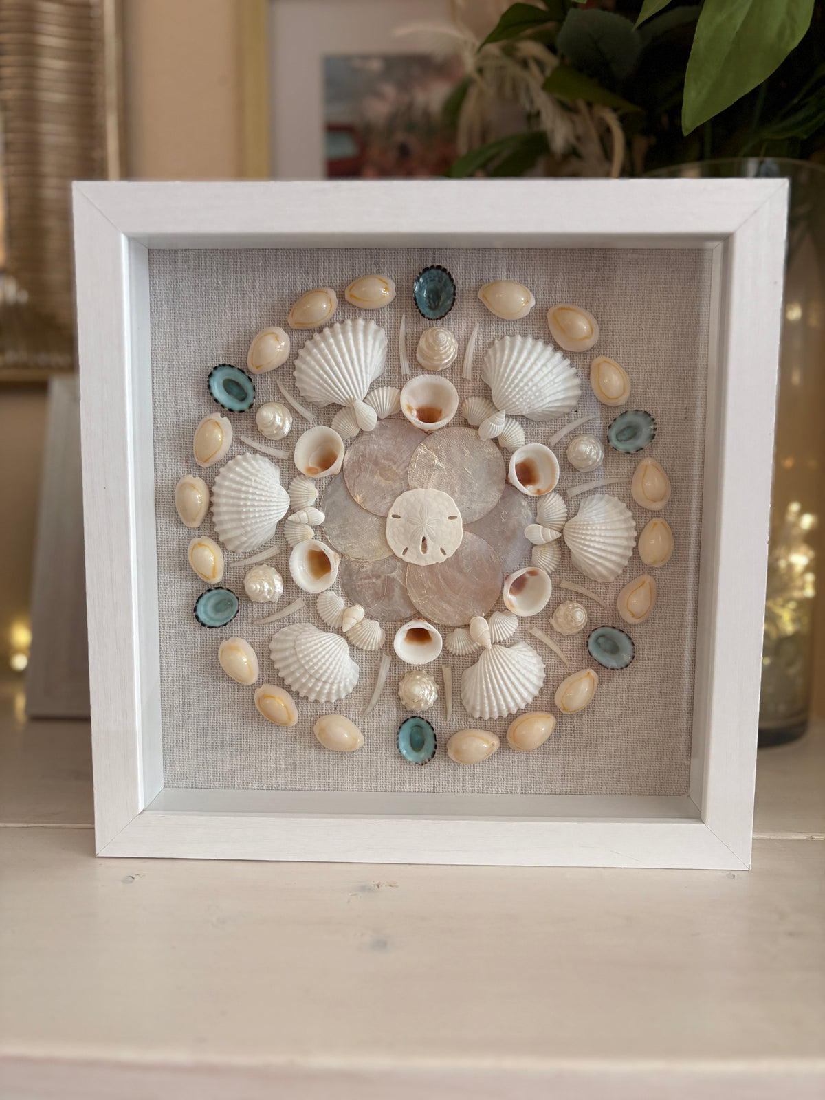 Shell Medallion Collection - No. 1 | Framed Shell Art