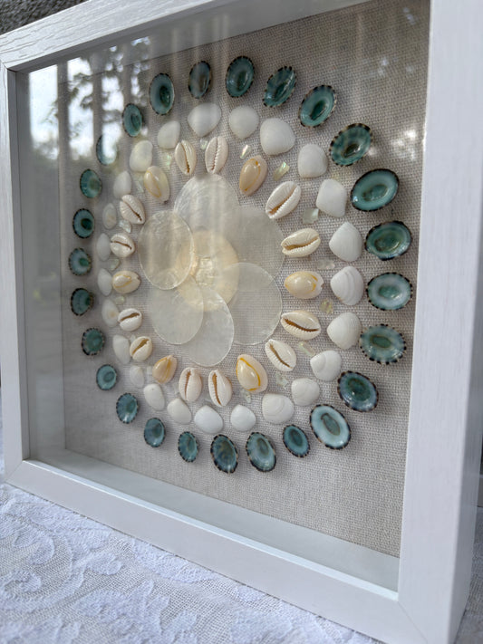Shell Medallion Collection - No. 2 | Framed Shell Art