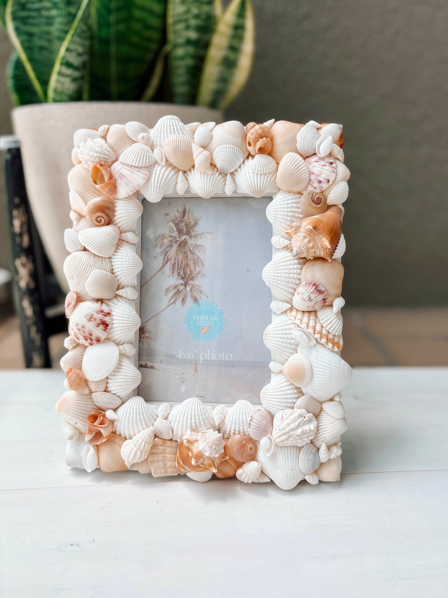 Seashell Picture Frame - Vertical or Horizontal