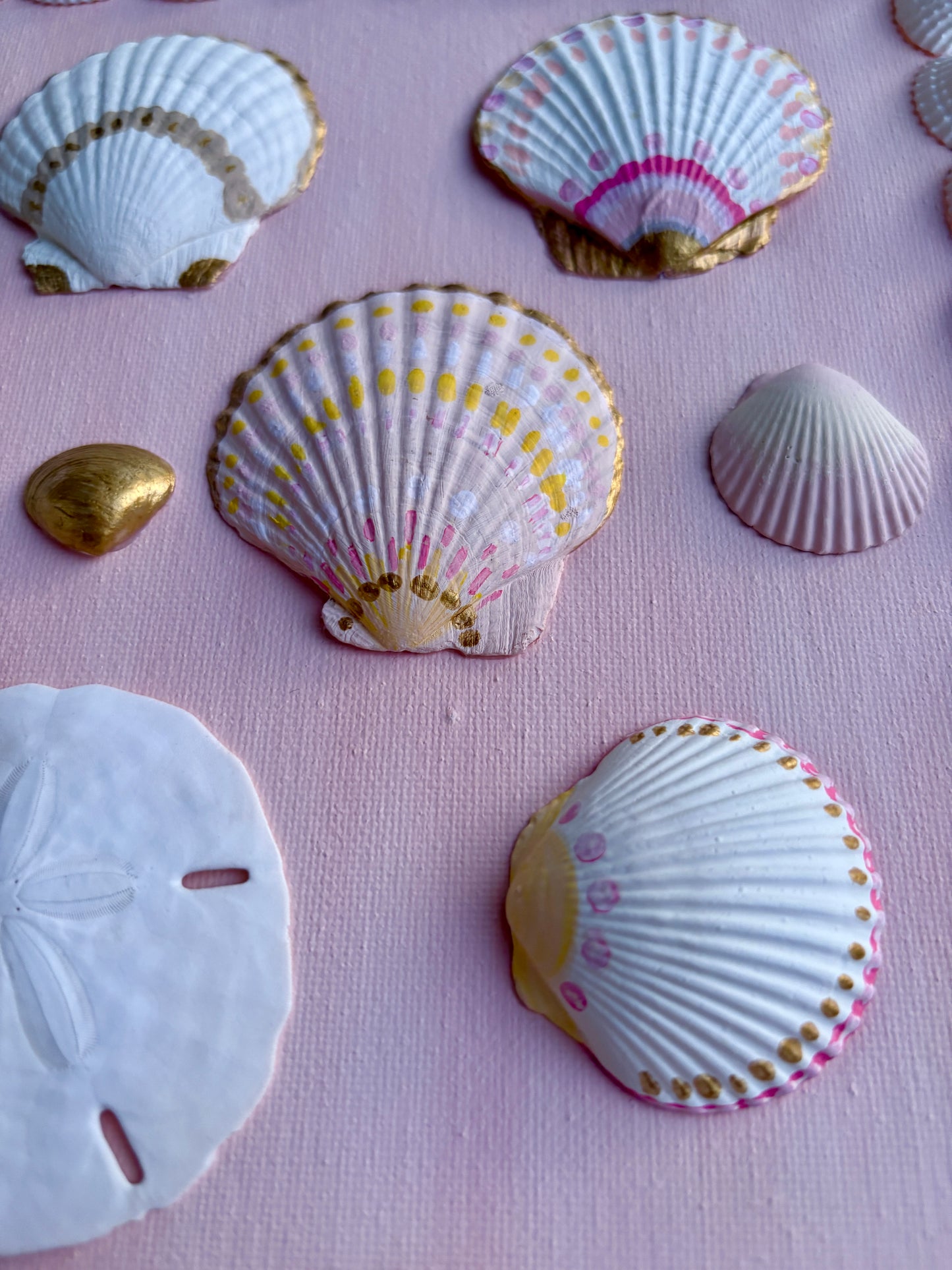 Pink Shell Wall Art on Blush Canvas - 11x14”