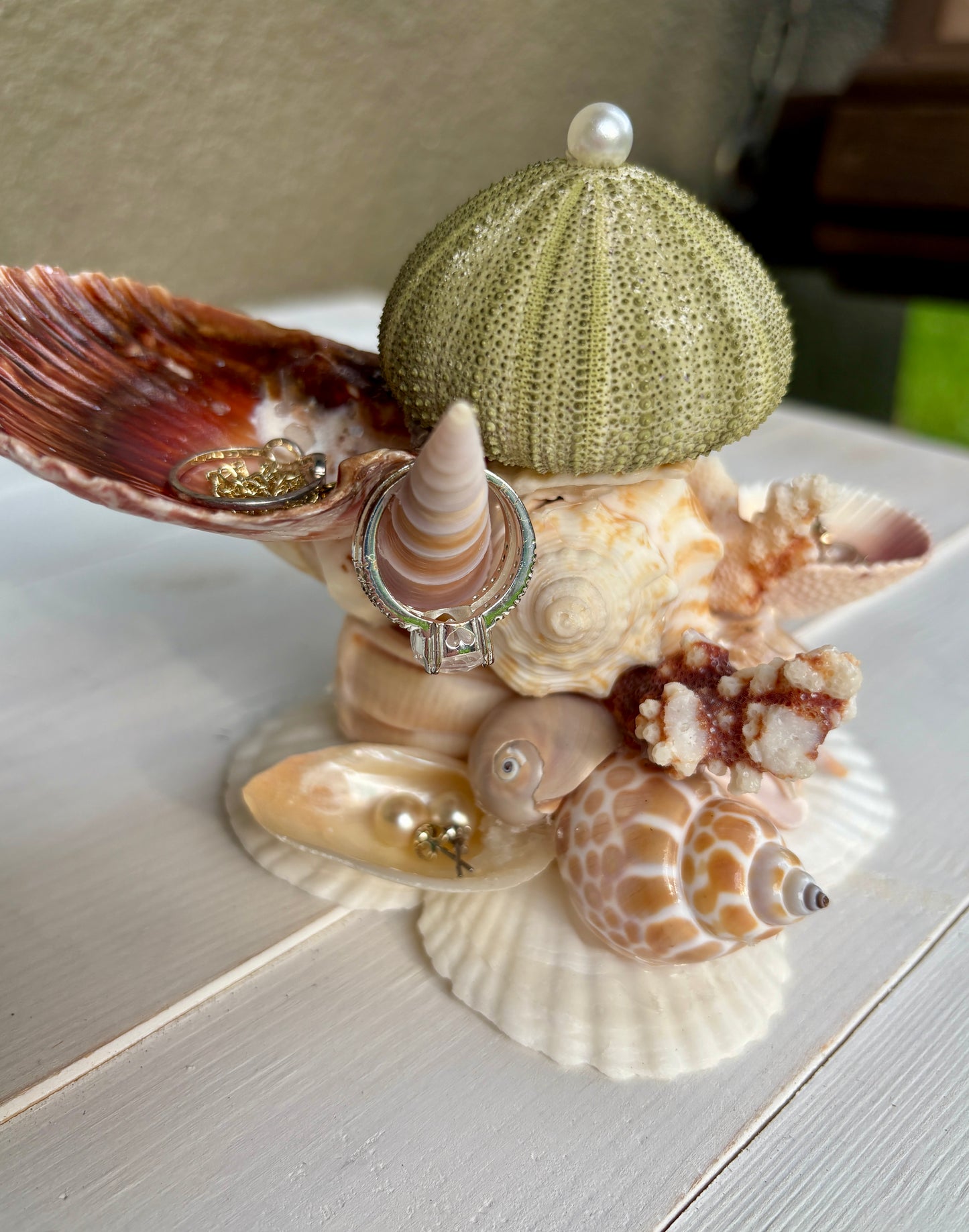Mini Seashell Jewelry Display