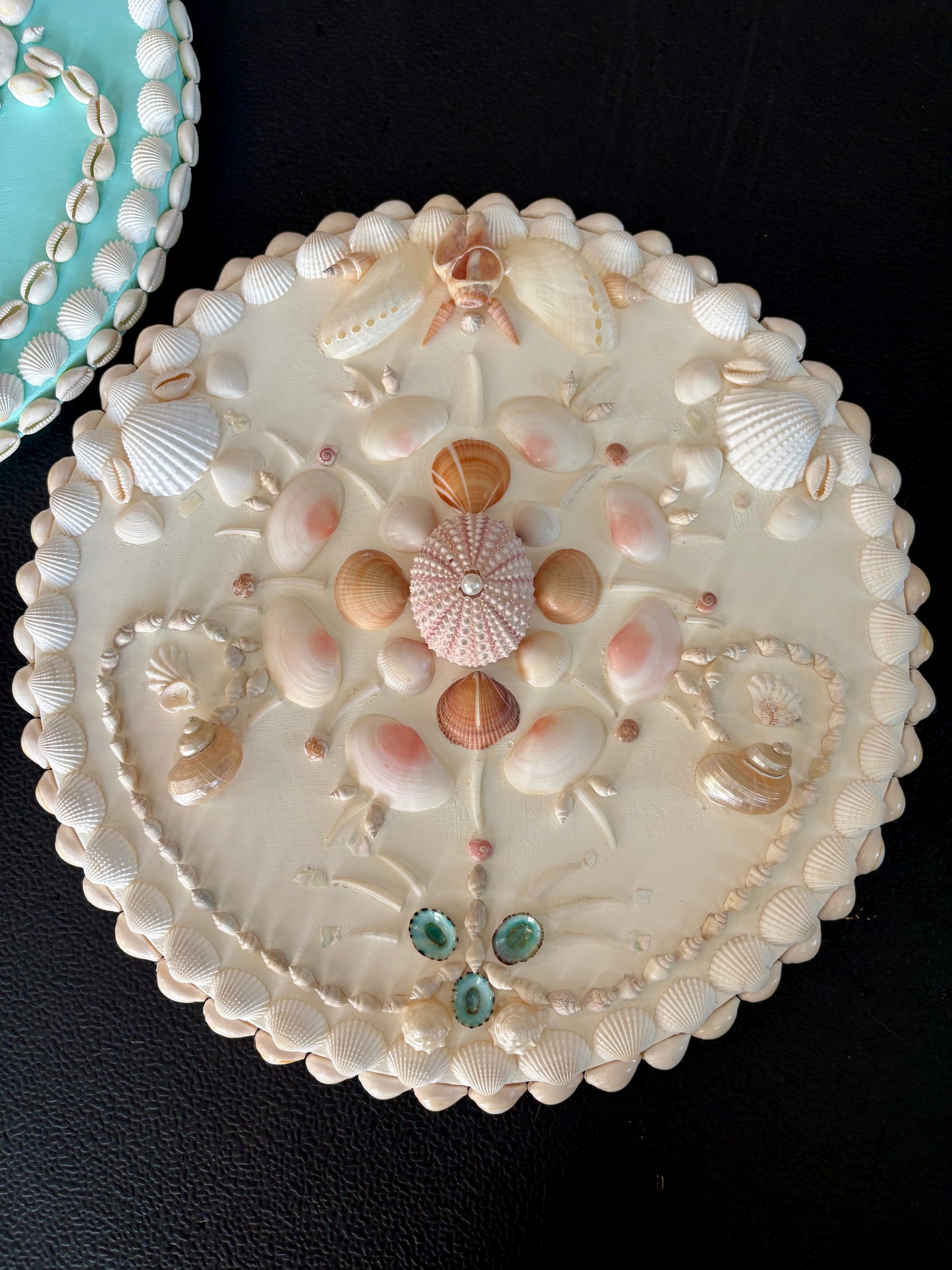 Set of Two Mini Shell Panels | Curated Coastal Wall Art Set