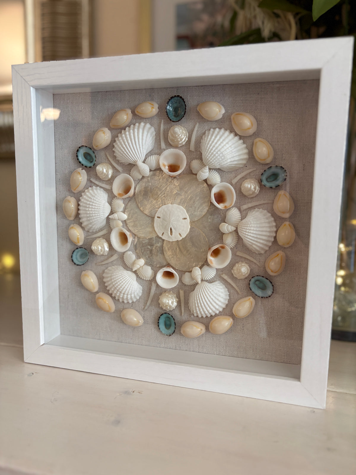 Shell Medallion Collection - No. 1 | Framed Shell Art