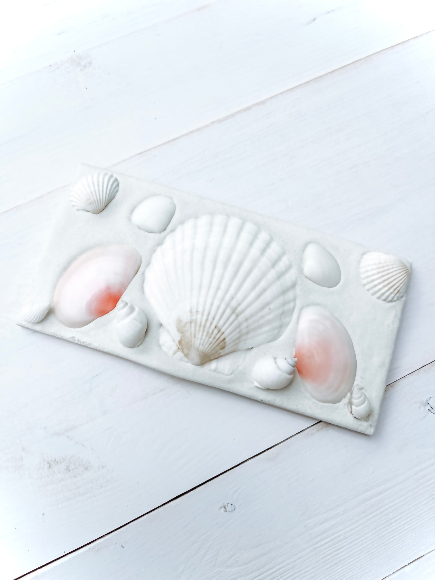 3x6” Shell Tile - Blush and White