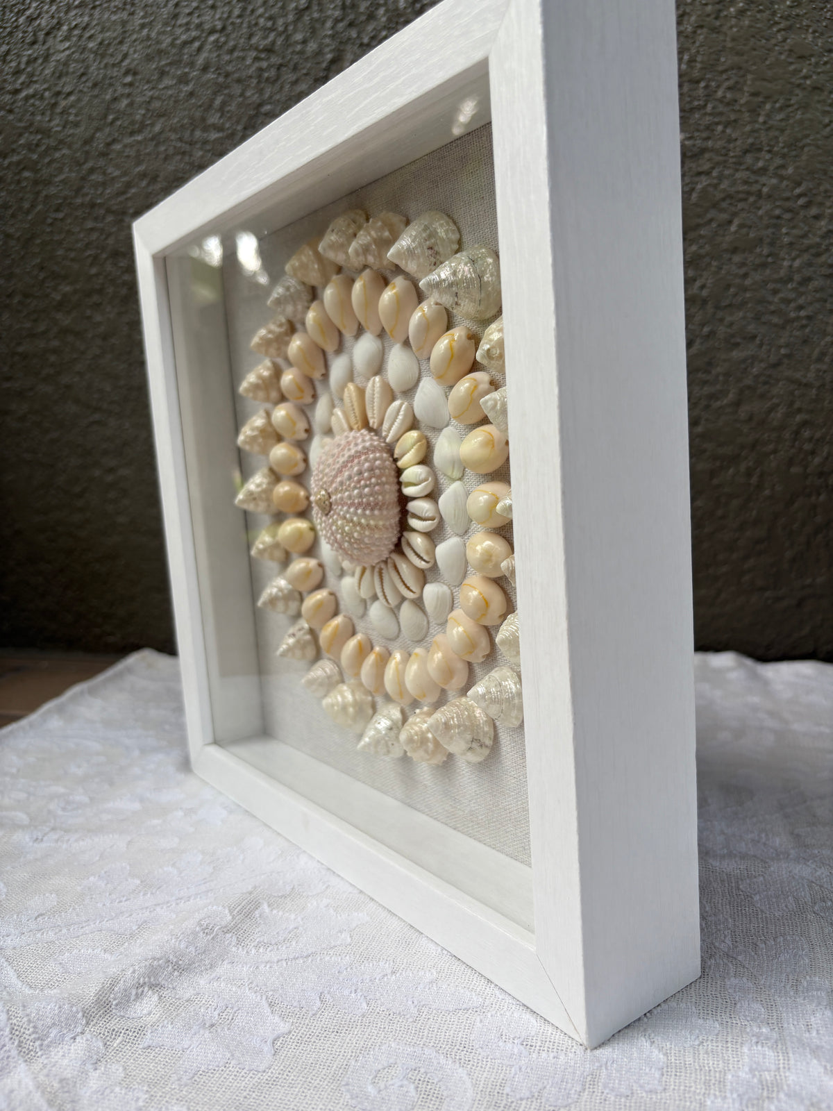 Shell Medallion Collection No. 4 | Framed Shell Art