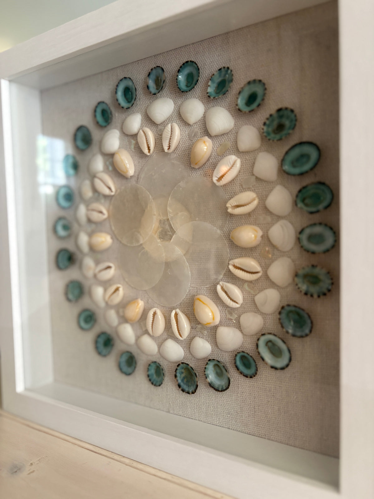 Shell Medallion Collection - No. 2 | Framed Shell Art