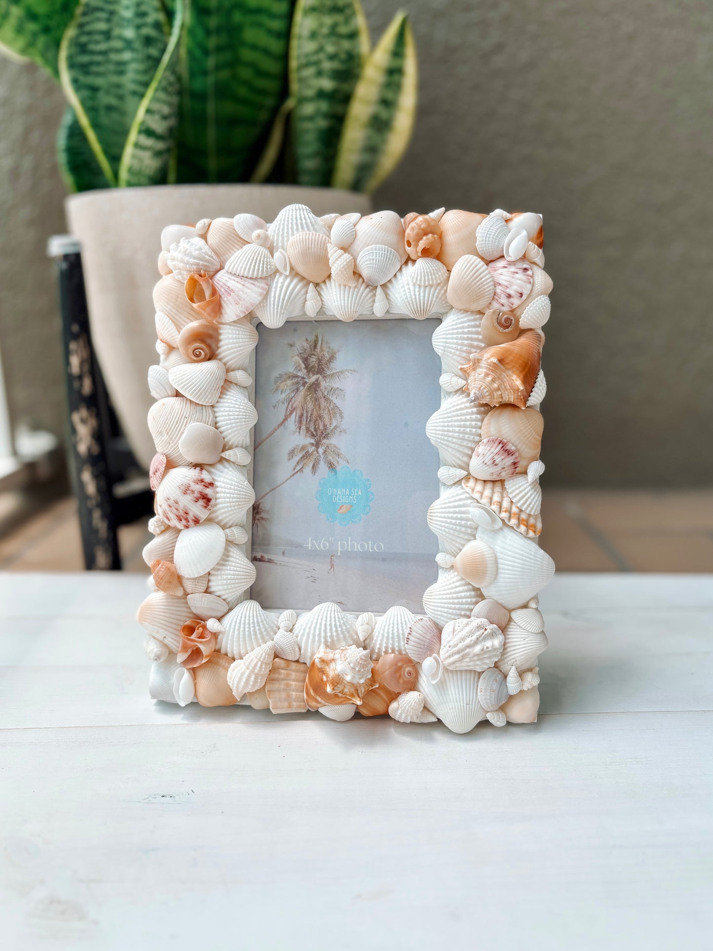 Seashell Picture Frame - Vertical or Horizontal