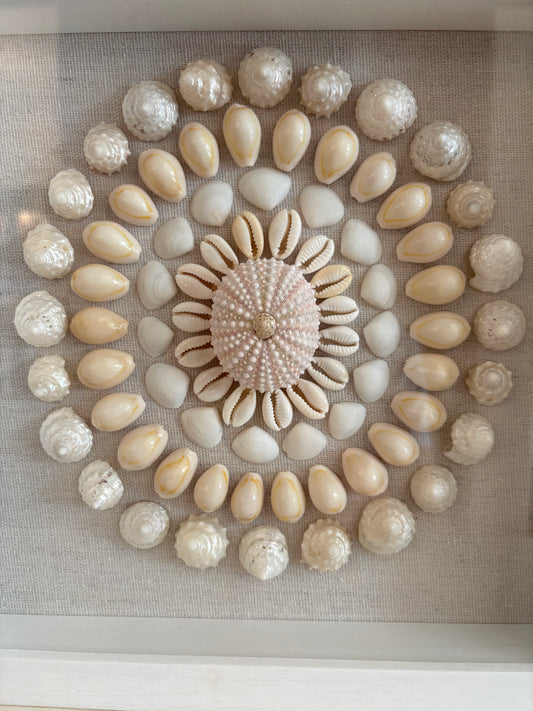 Shell Medallion Collection No. 4 | Framed Shell Art