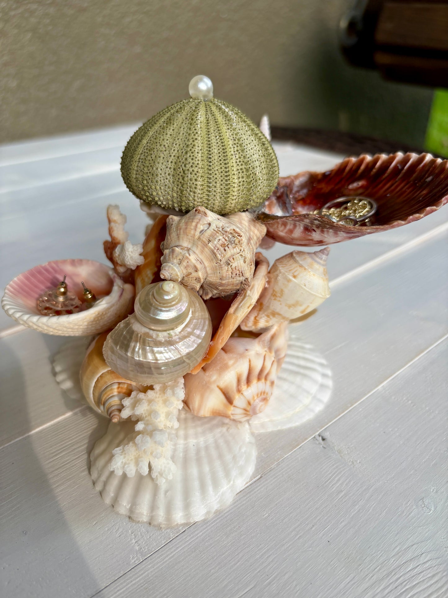 Mini Seashell Jewelry Display