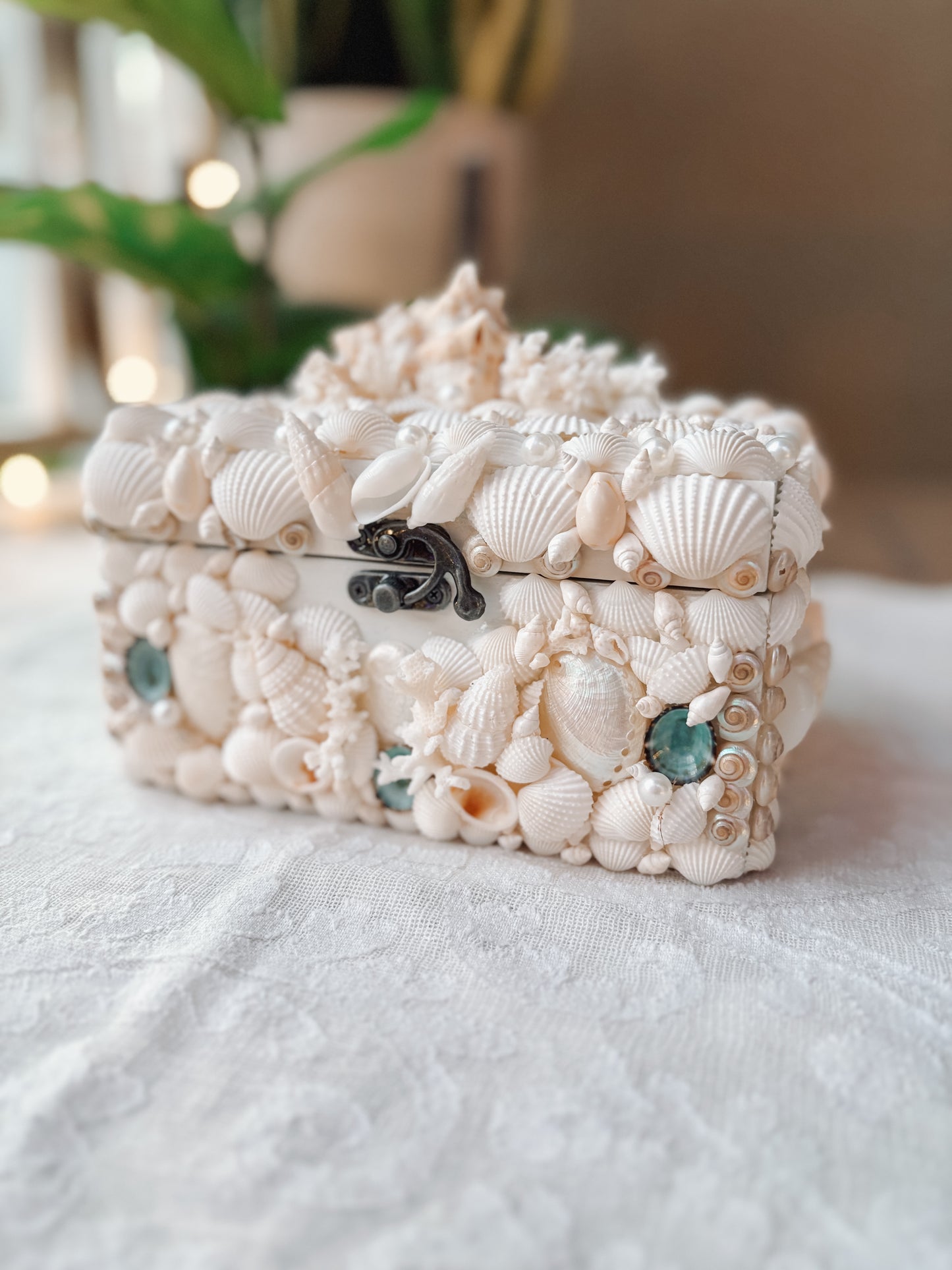 Seashell Keepsake Box