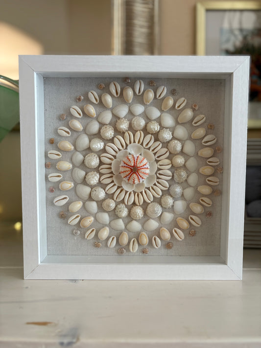 Shell Medallion Collection No. 3 | Framed Shell Art