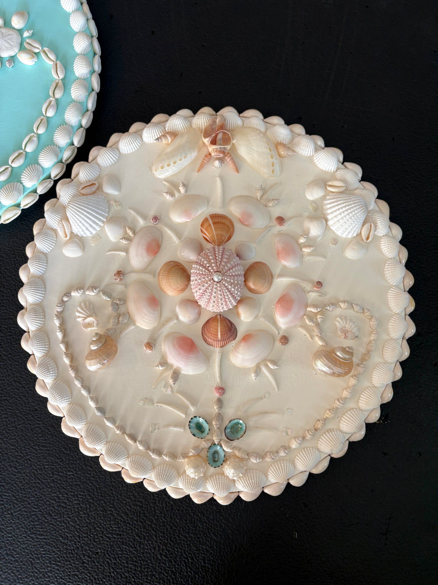 Set of Two Mini Shell Panels | Curated Coastal Wall Art Set
