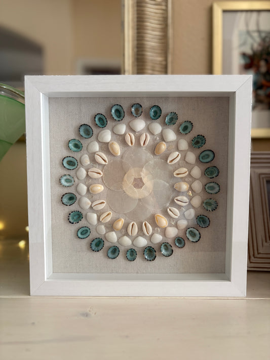 Shell Medallion Collection - No. 2 | Framed Shell Art